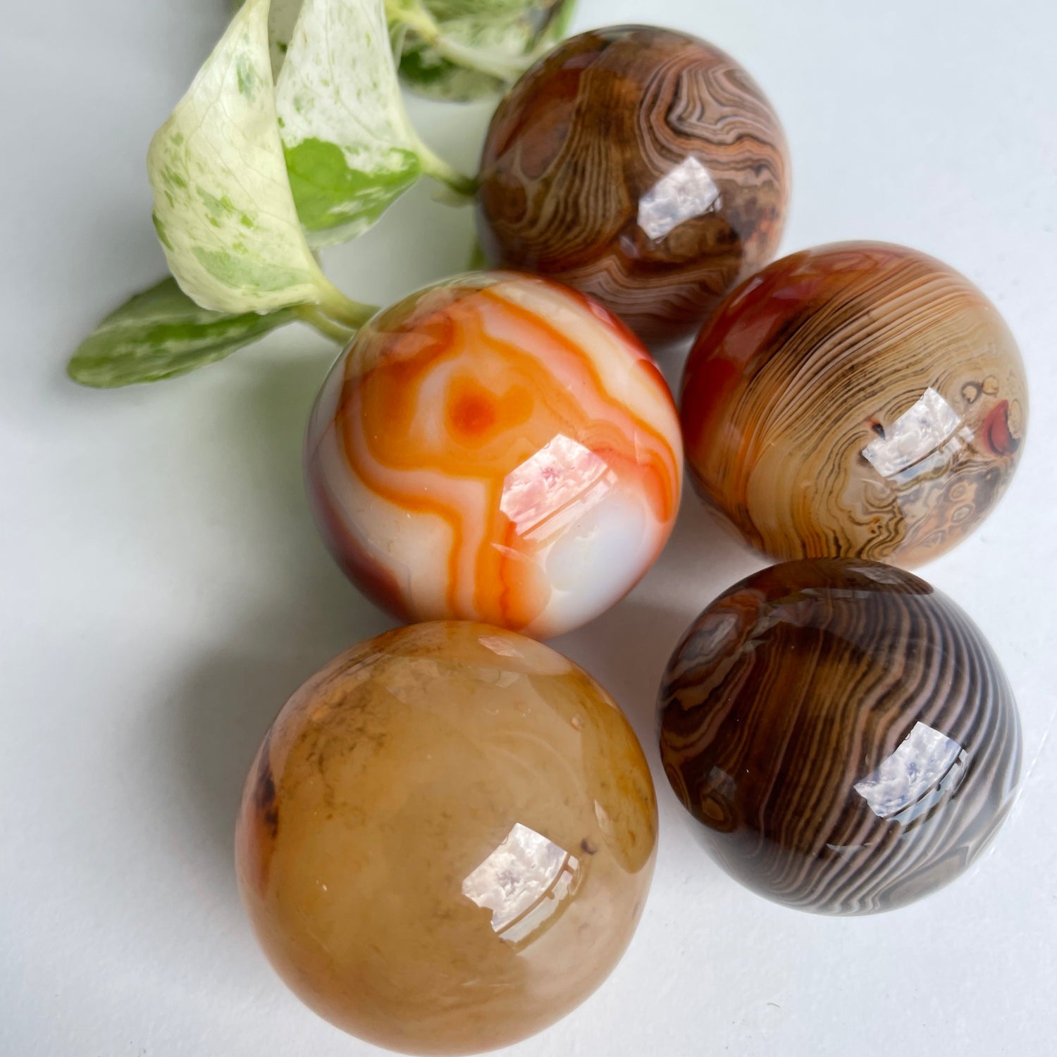 Sardonyx Sphere Small