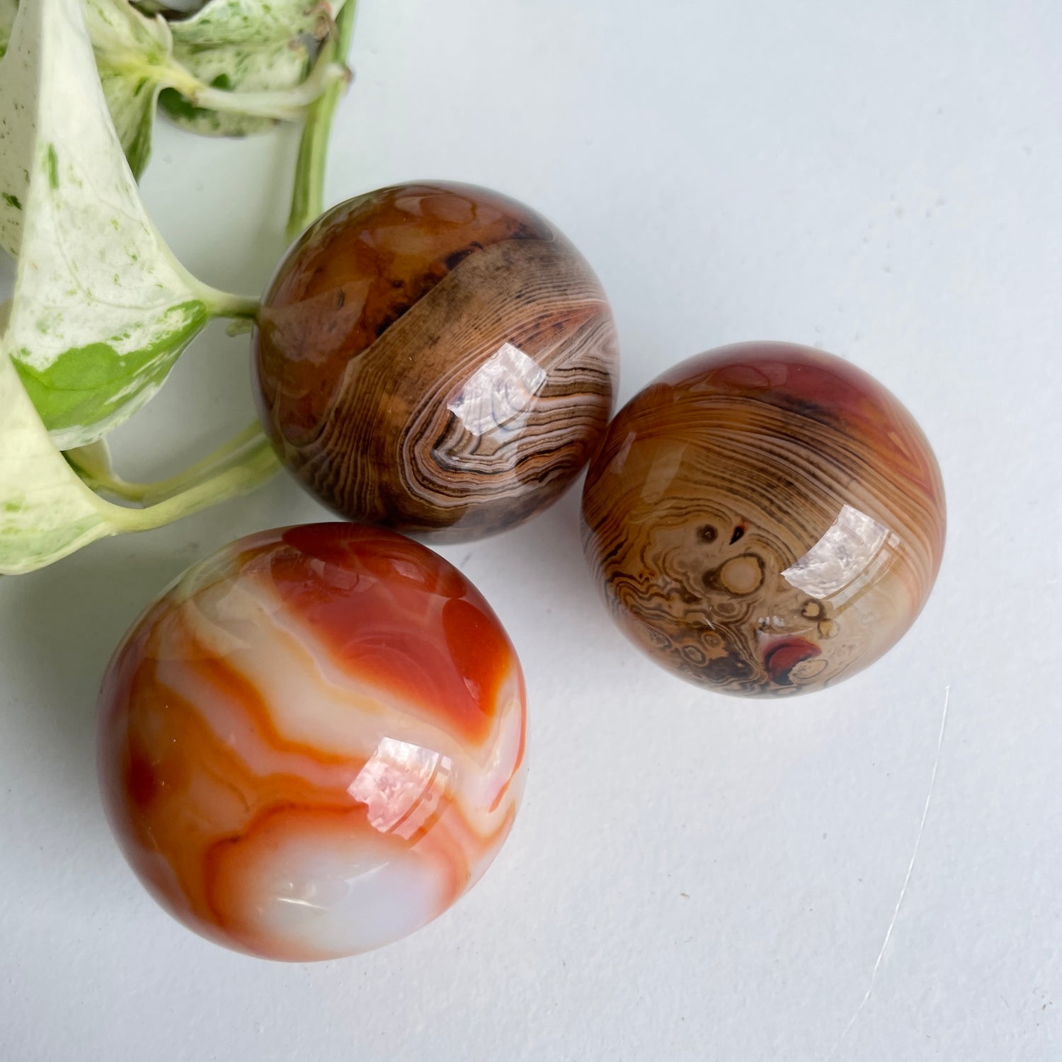 Sardonyx Sphere Small