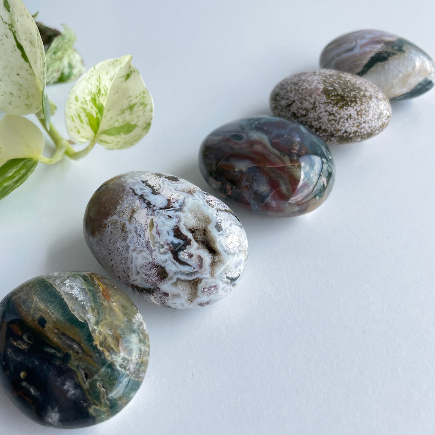 Ocean Jasper Palmstone Med