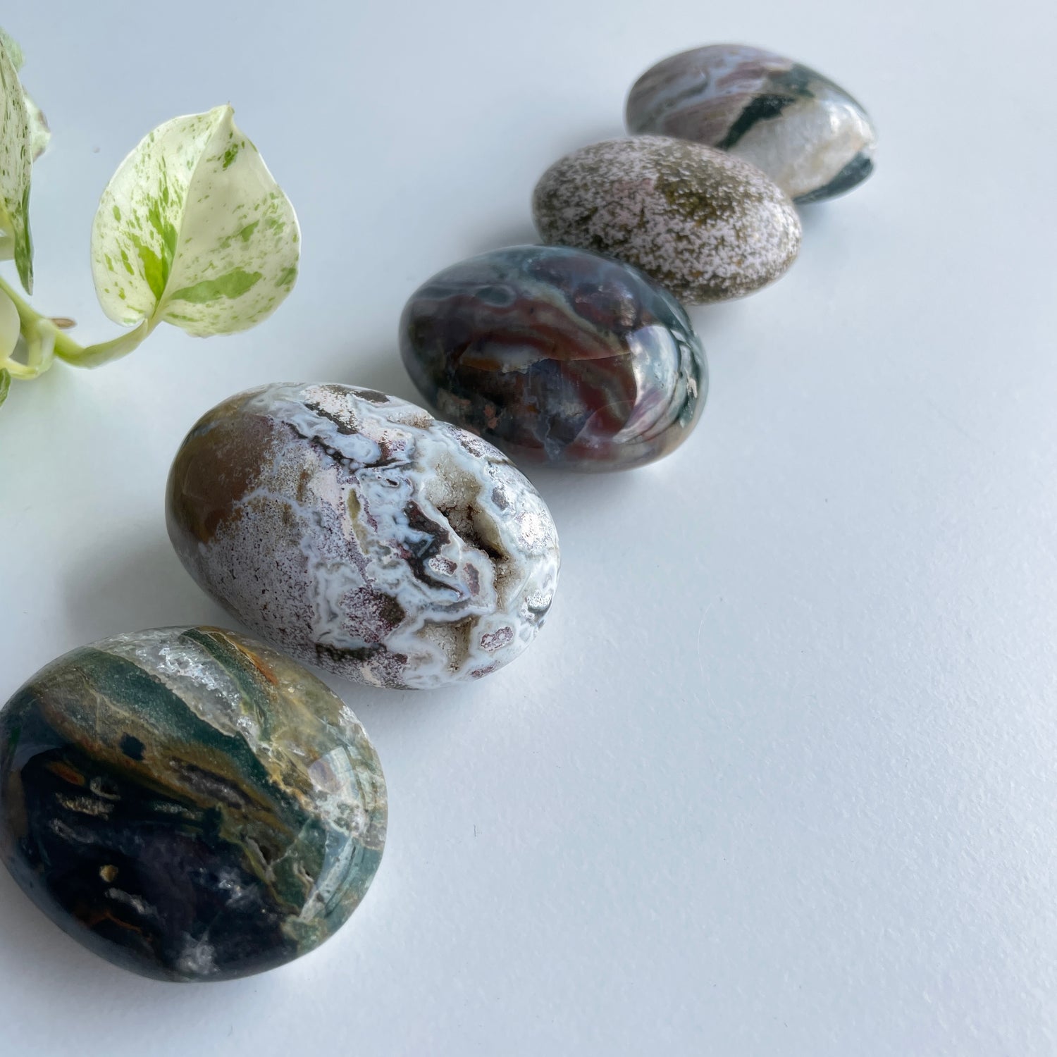 Ocean Jasper Palmstone Med