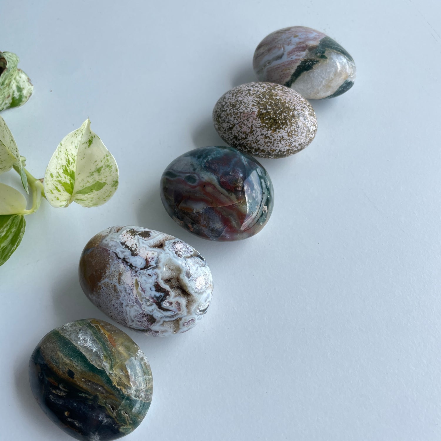 Ocean Jasper Palmstone Med