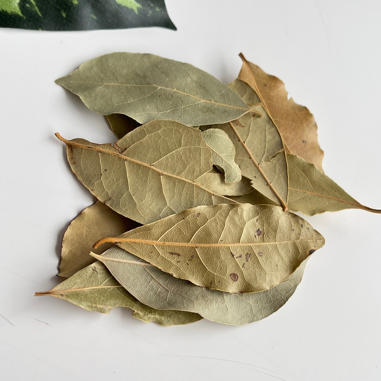 Bayleaf 10g