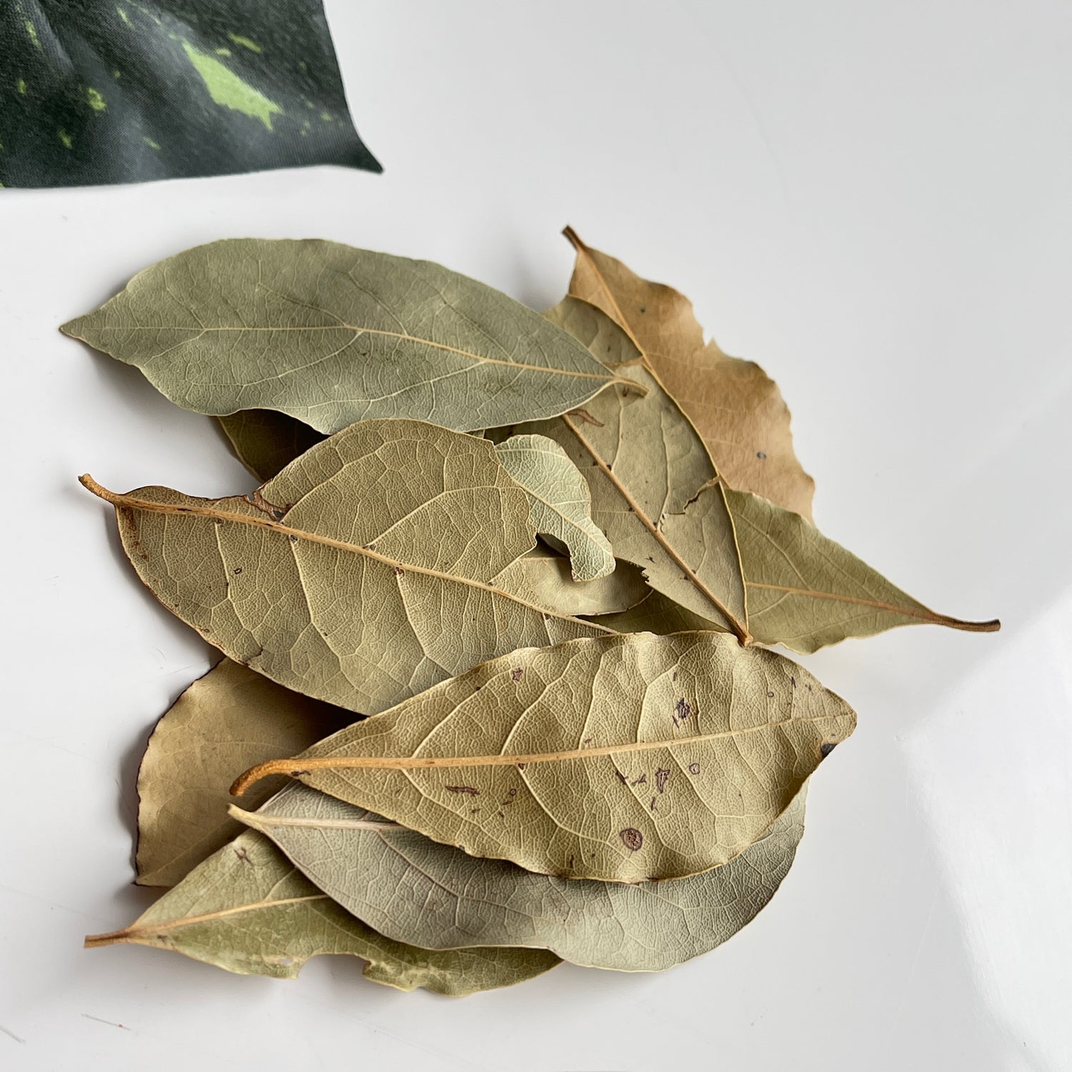 Bayleaf 10g