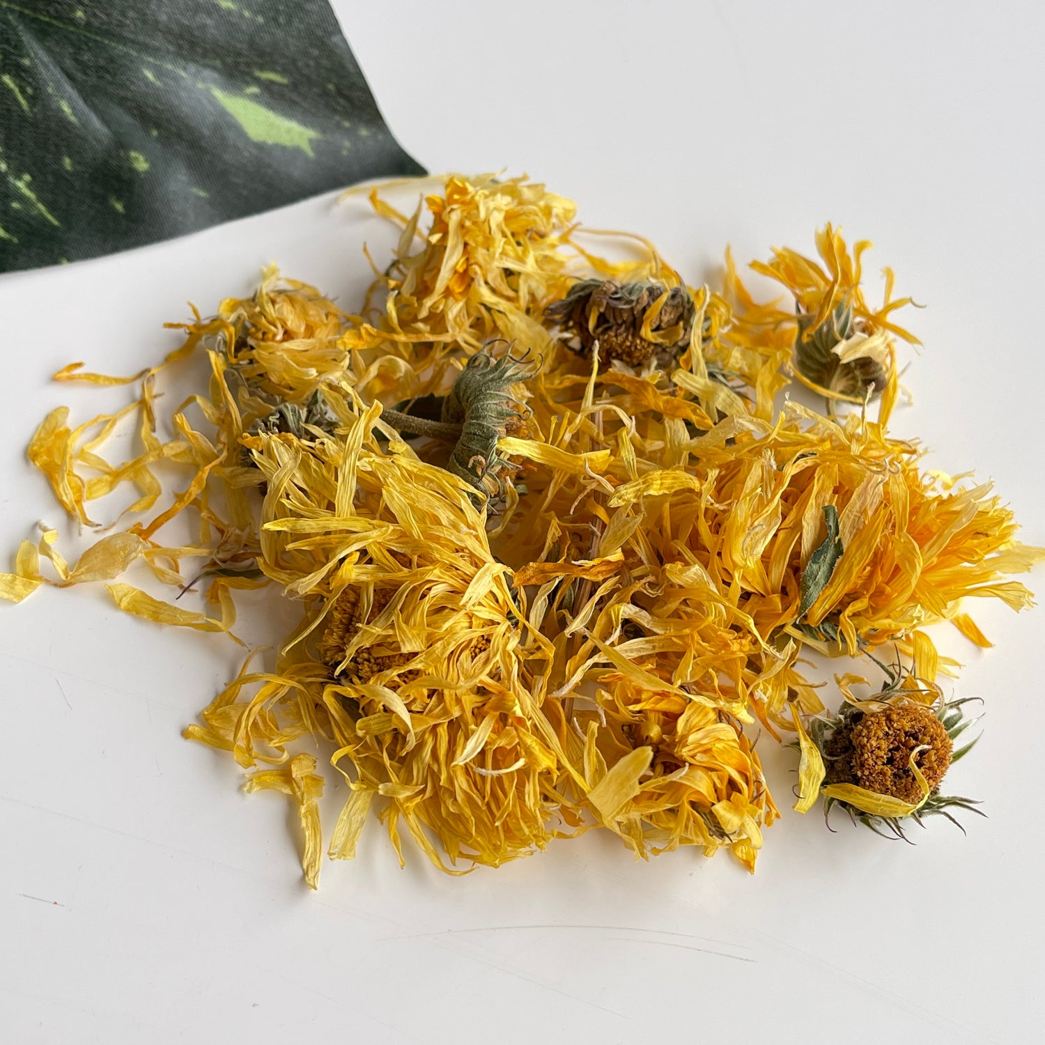 Calendula 10g
