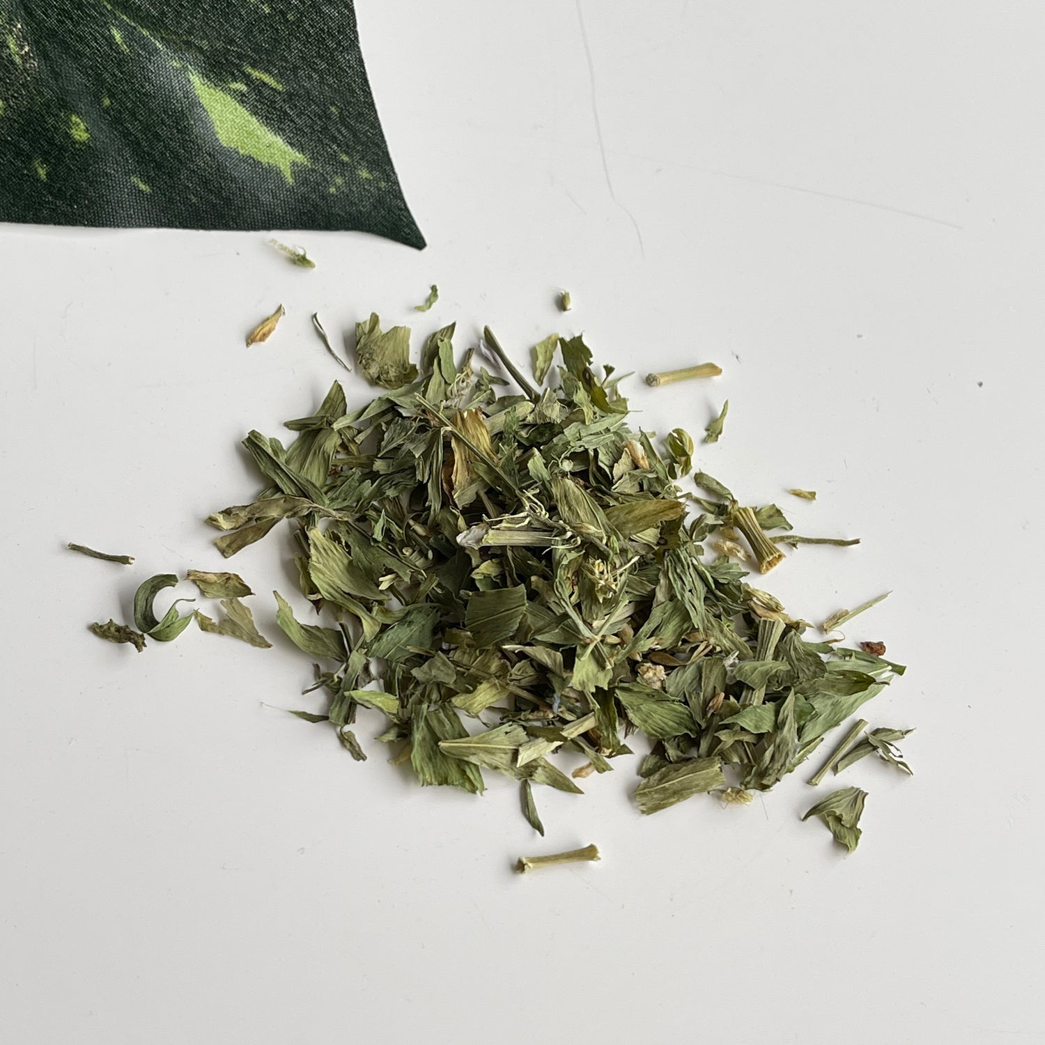 Goats Rue 10g