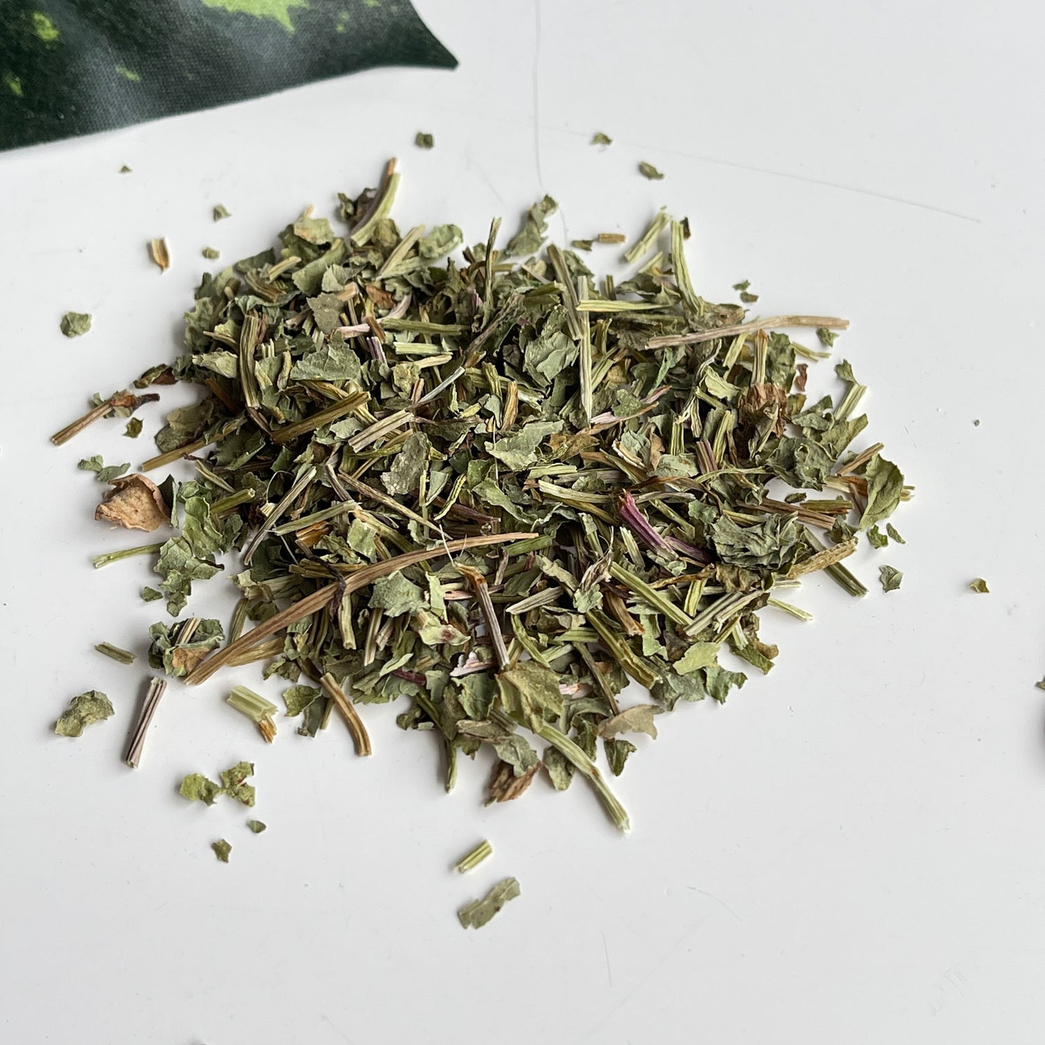 Gotu Kota 10g