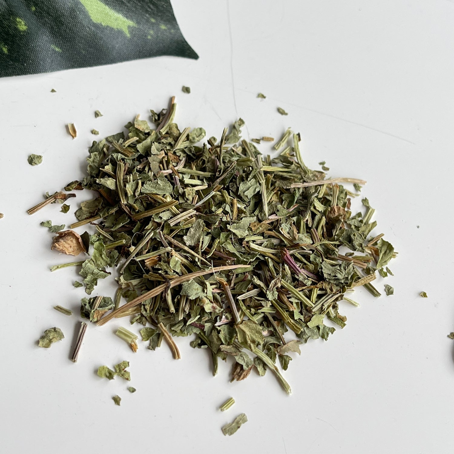 Gotu Kota 10g