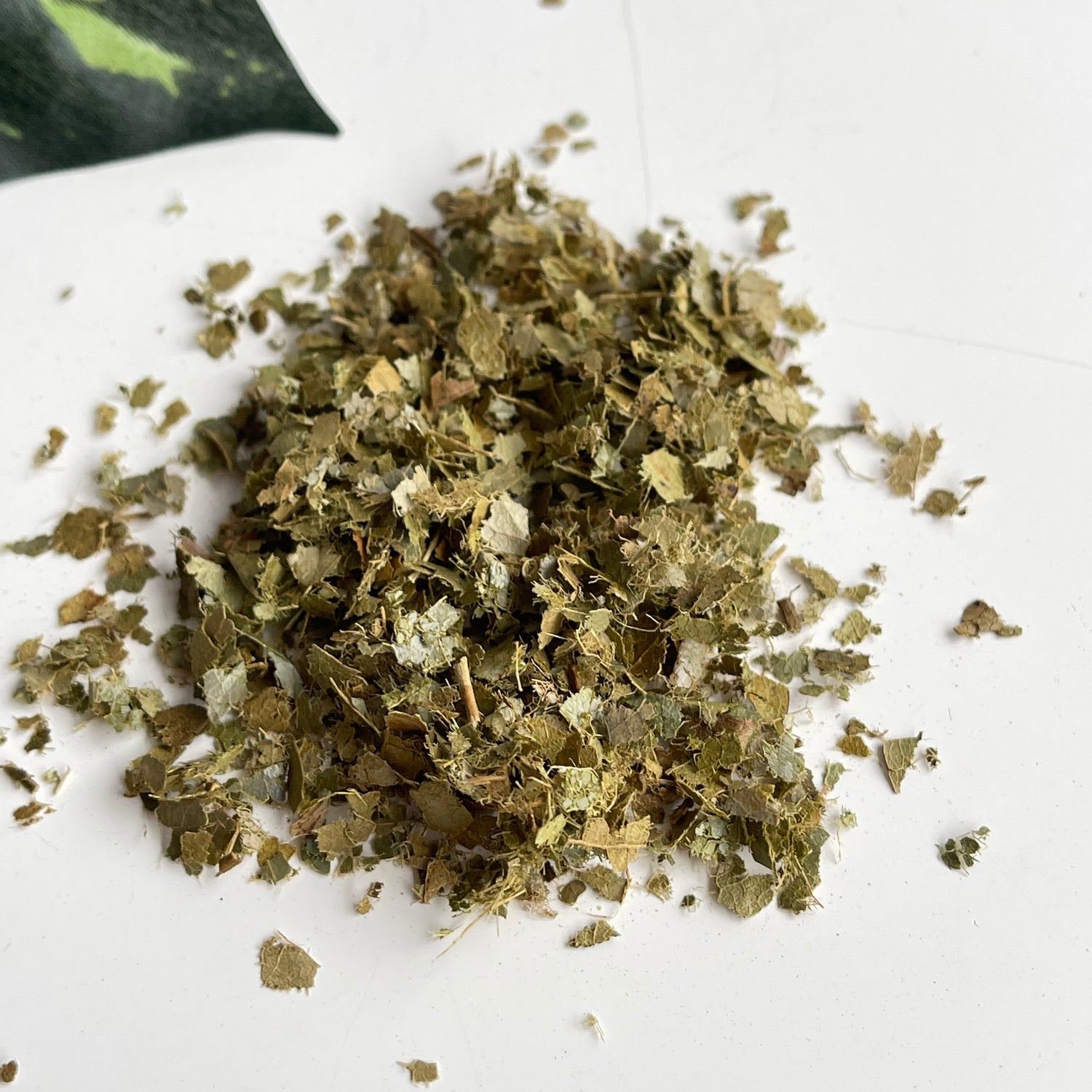 Graviola 10g