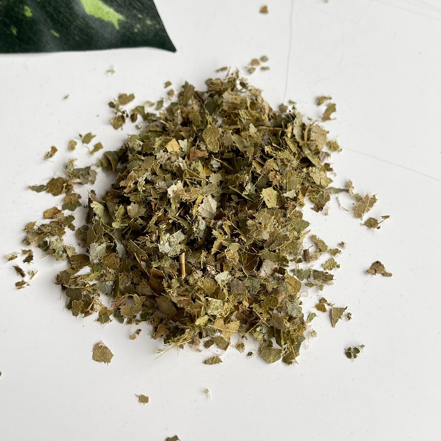 Graviola 10g