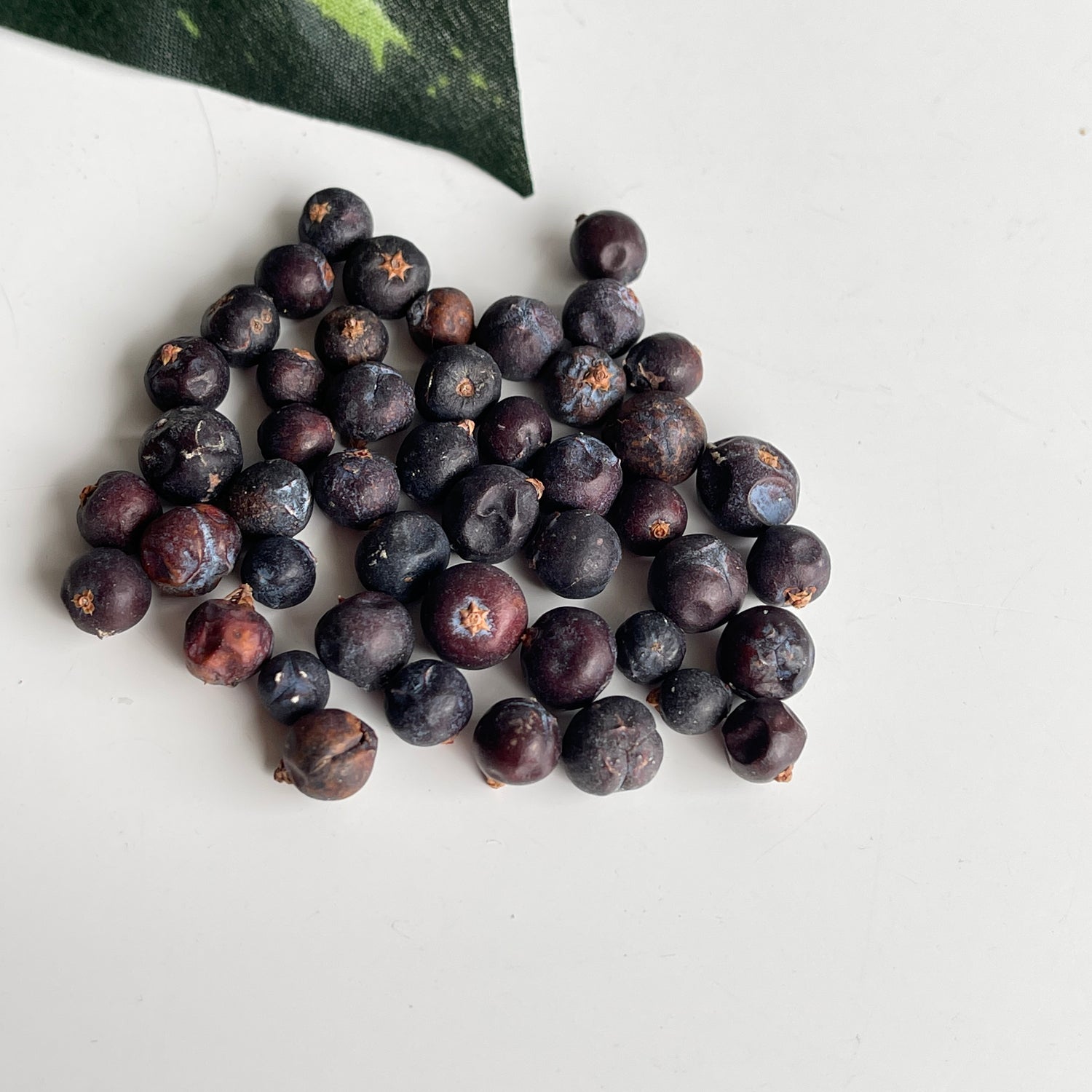 Juniper Berries 10g