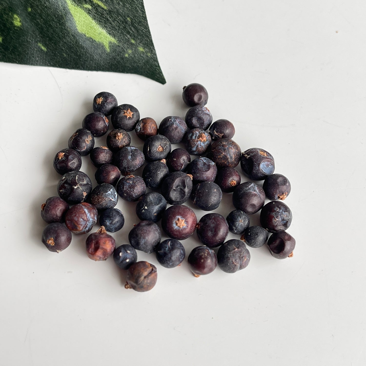 Juniper Berries 10g