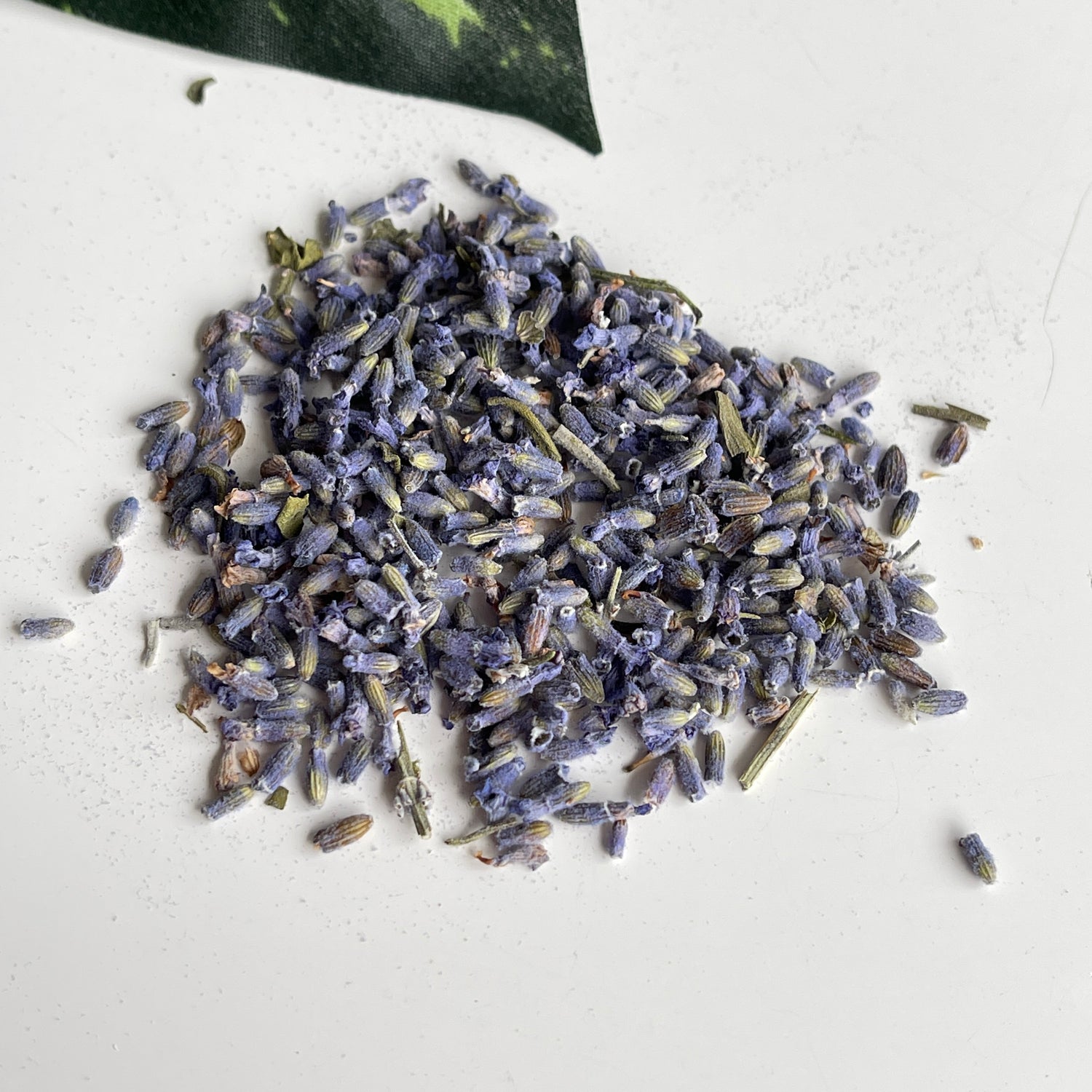 Lavender 20g