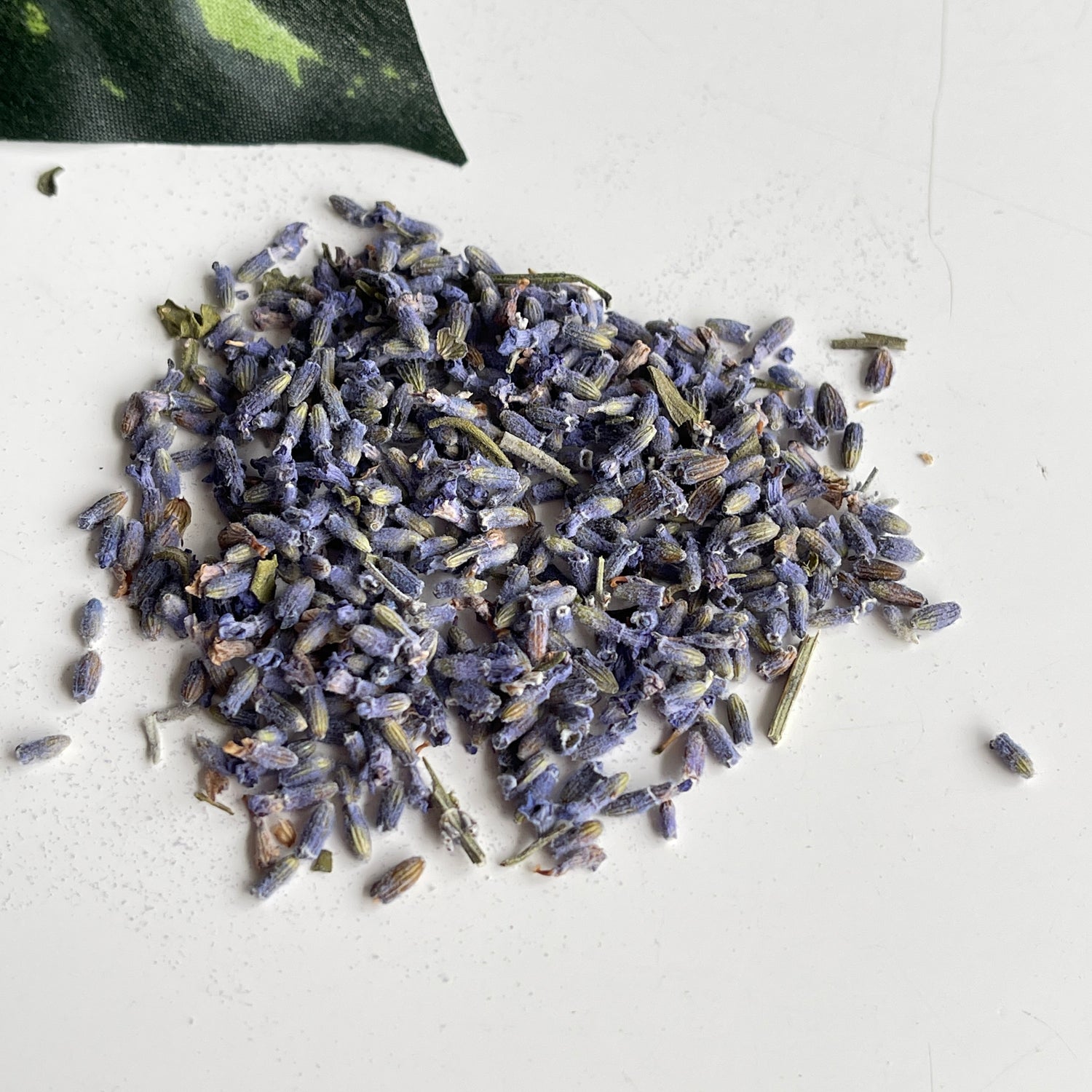 Lavender 20g