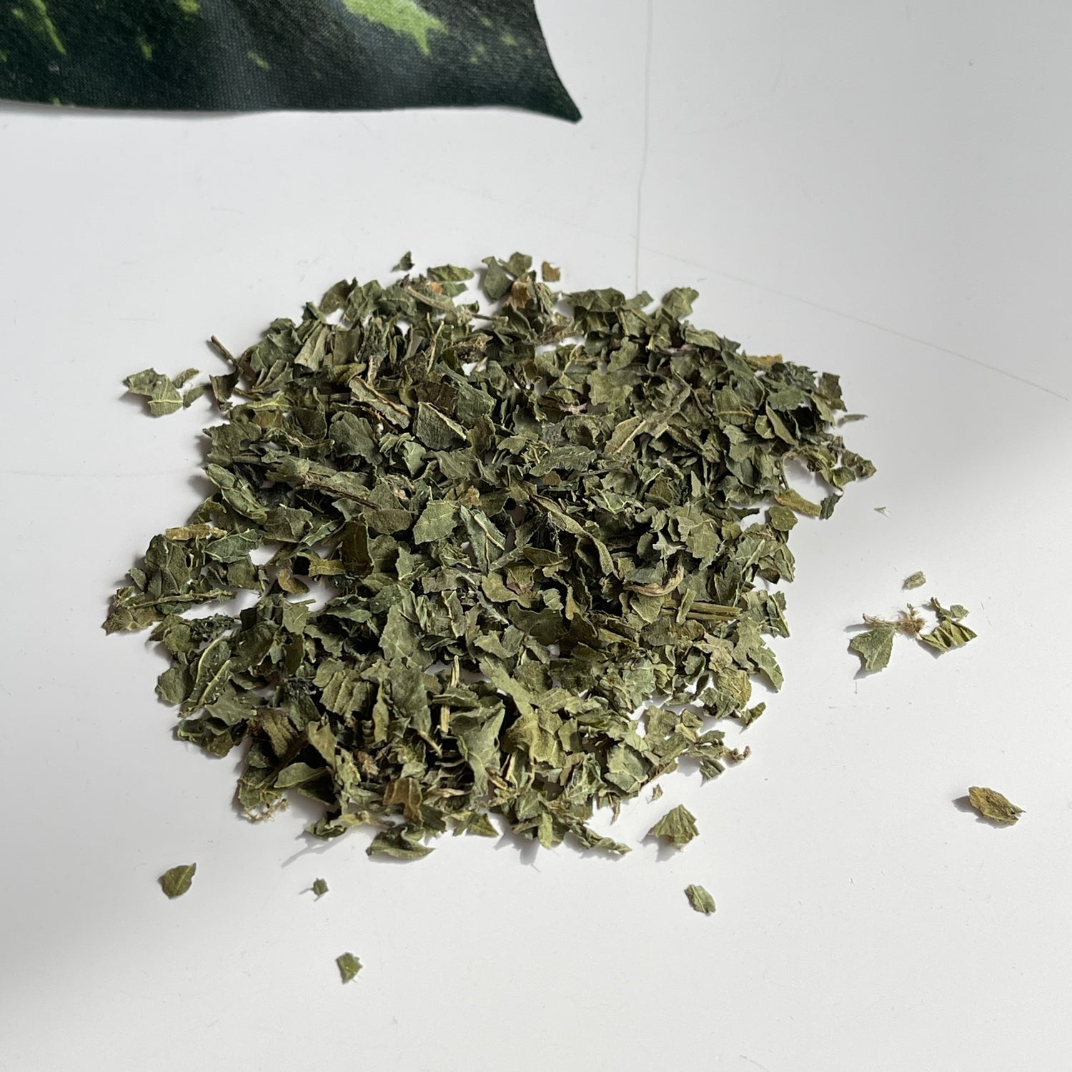 Nettle 10g