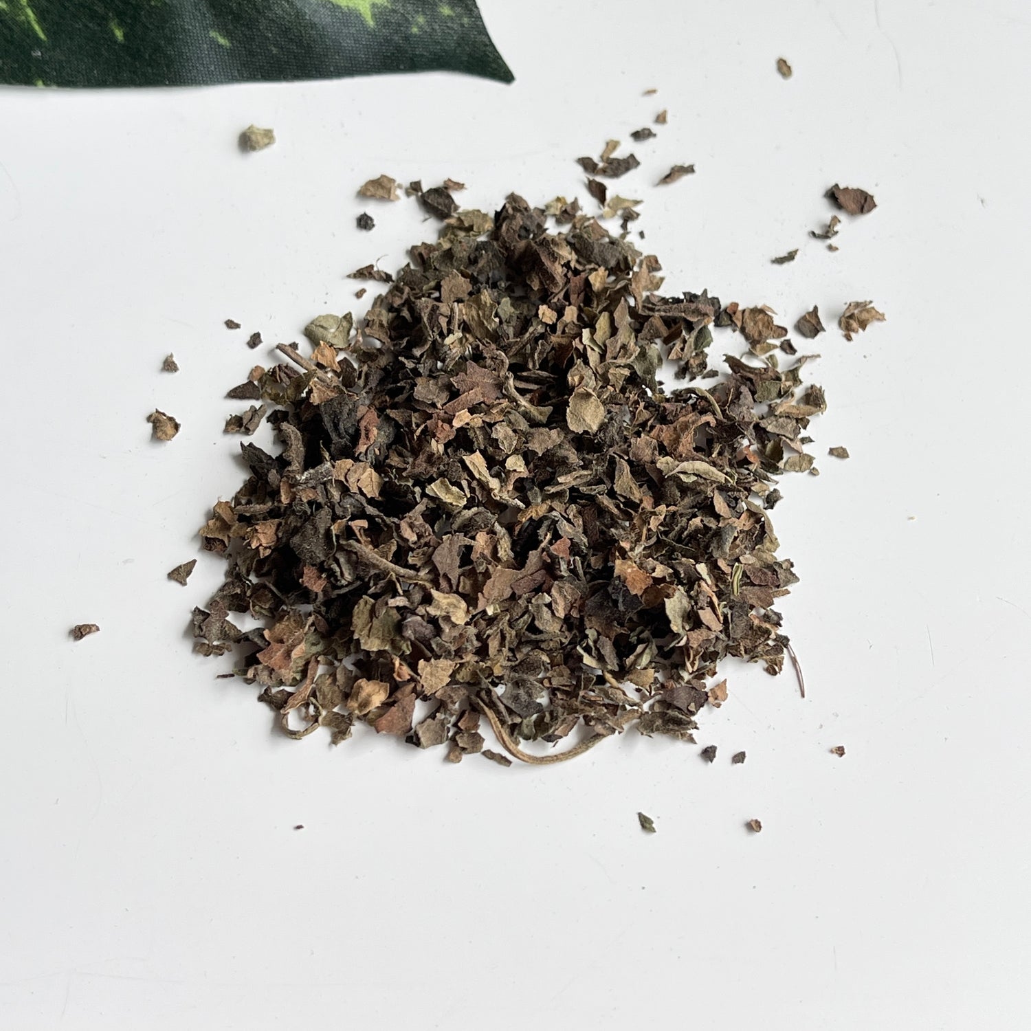 Patchouli Leaves 20g