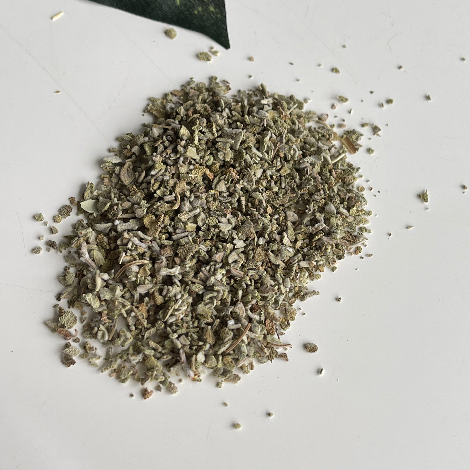 Sage 10g