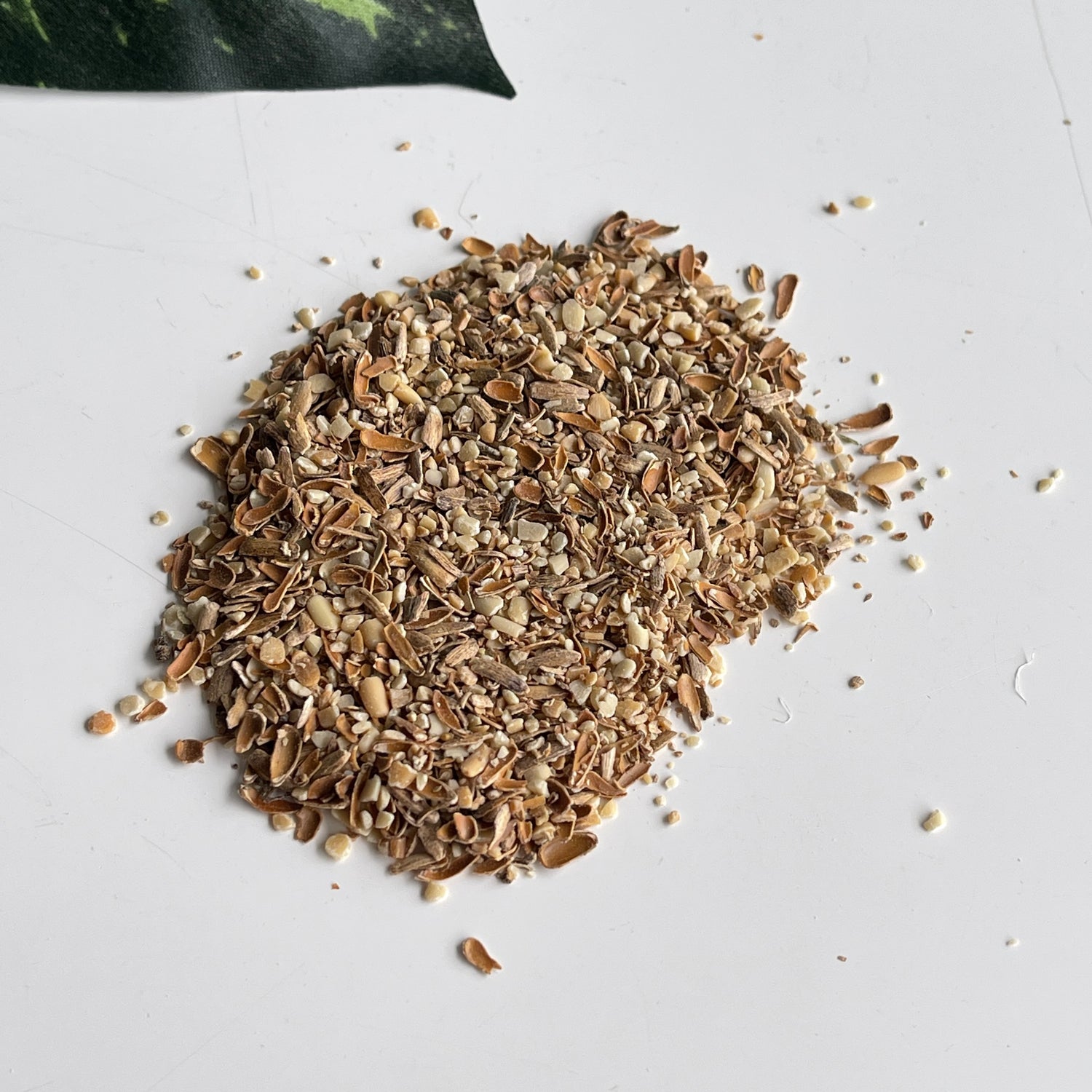 St Mary's Thistle 10g