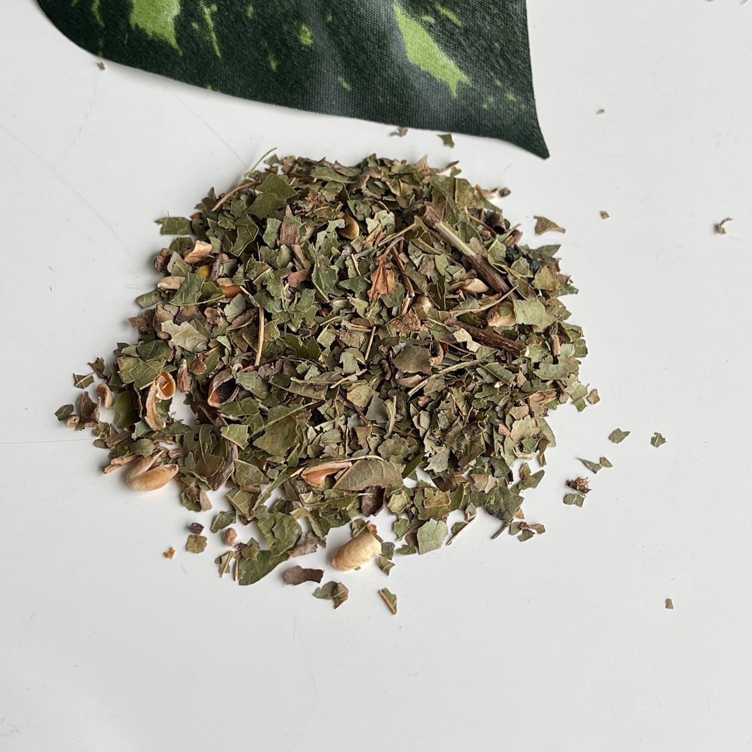 Witch Hazel 10g