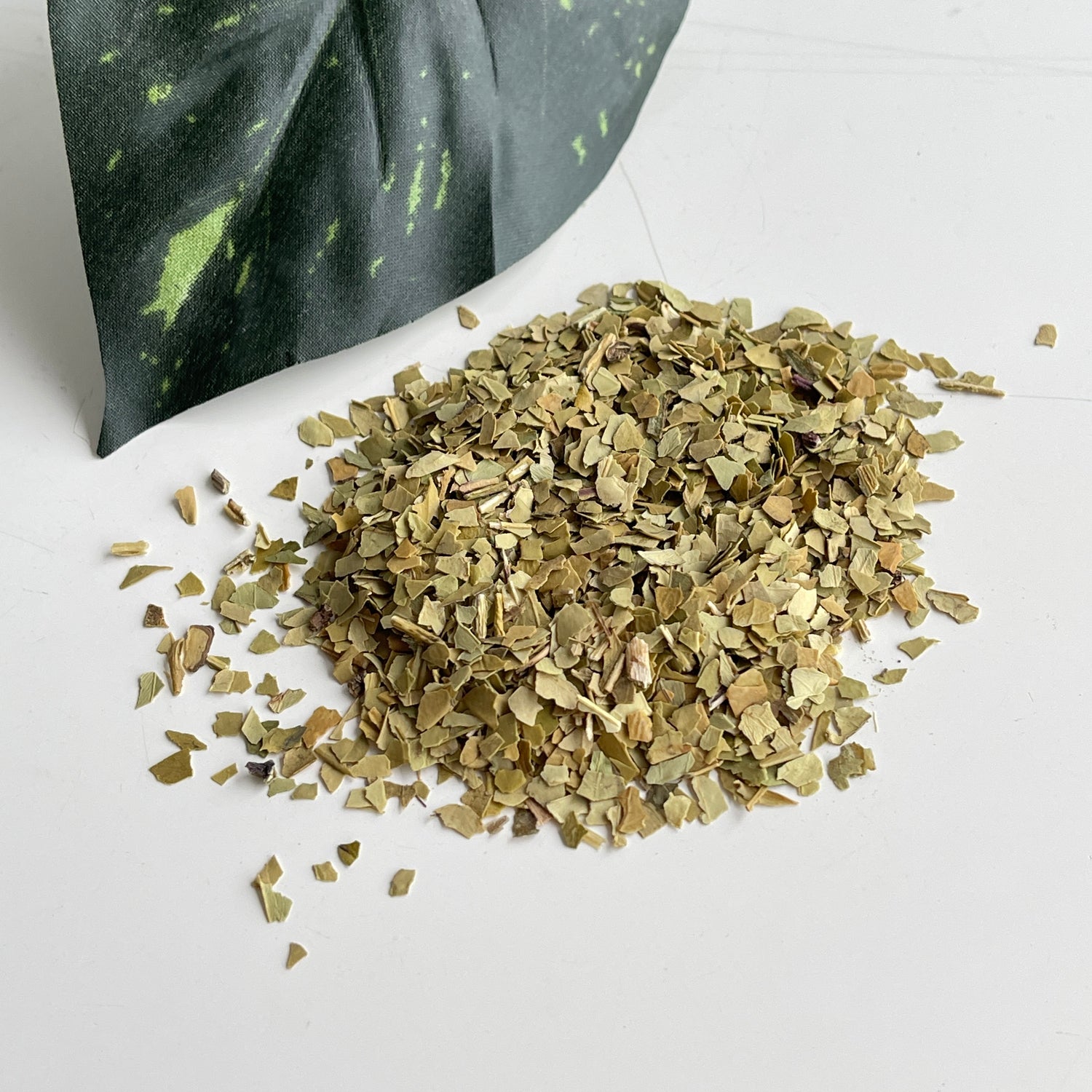 Yerba Mate 10g