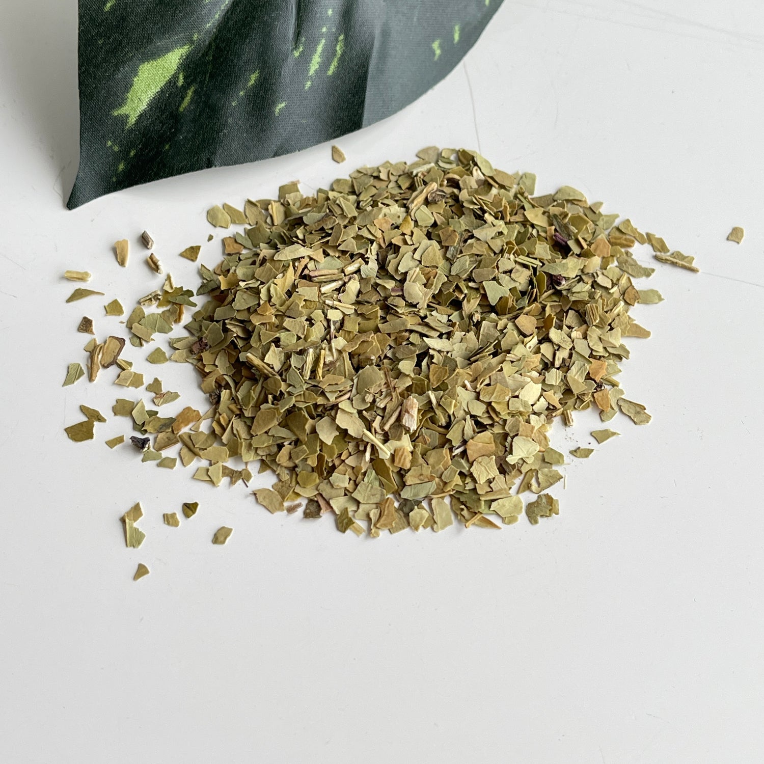 Yerba Mate 10g