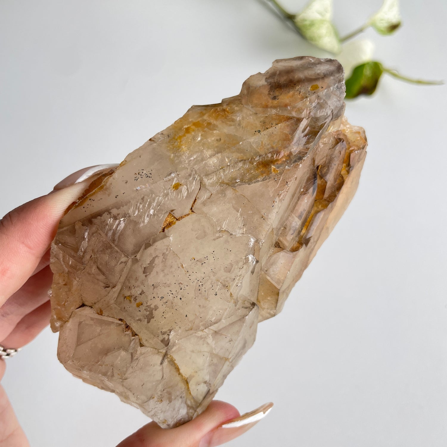 Smoky Elestial Quartz Cluster 380g
