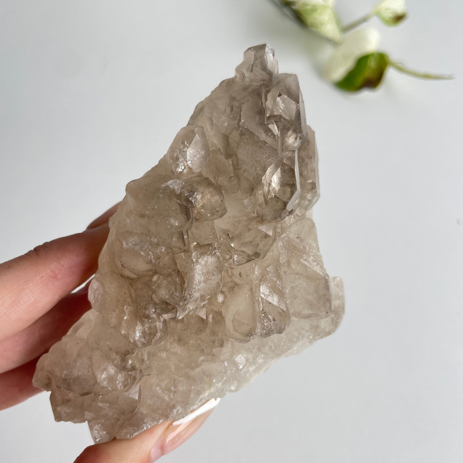 Smoky Elestial Quartz Cluster 268g