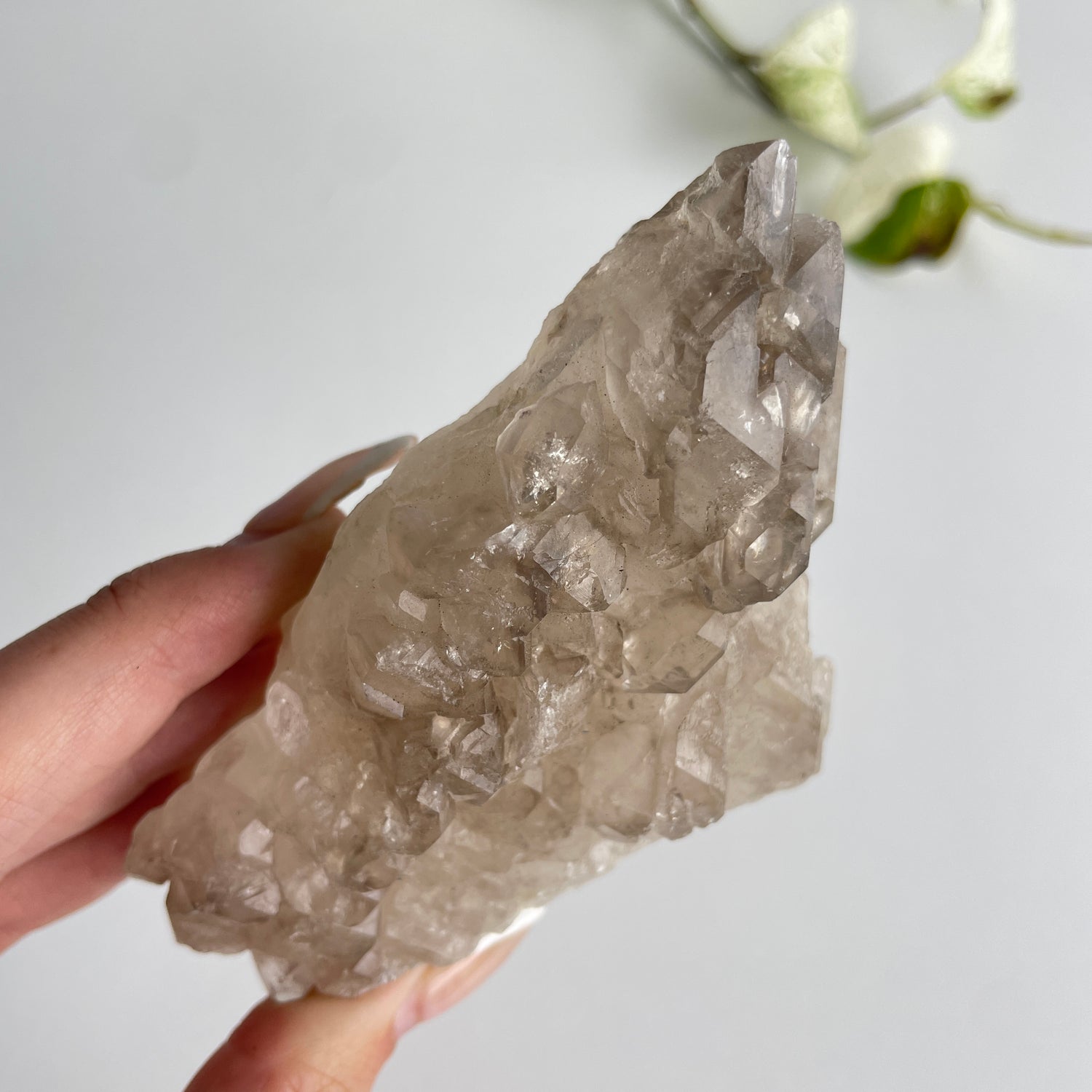 Smoky Elestial Quartz Cluster 268g