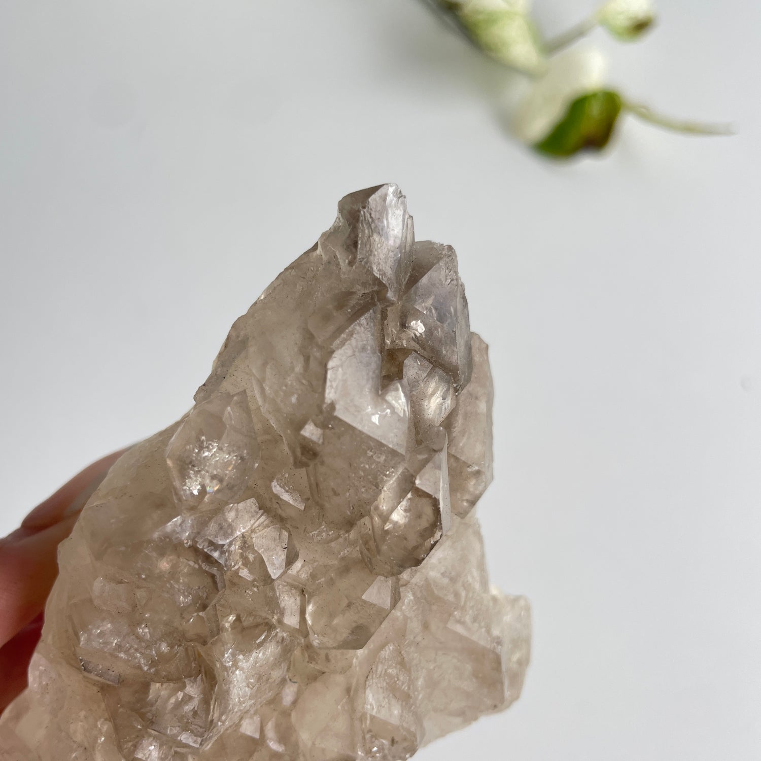Smoky Elestial Quartz Cluster 268g