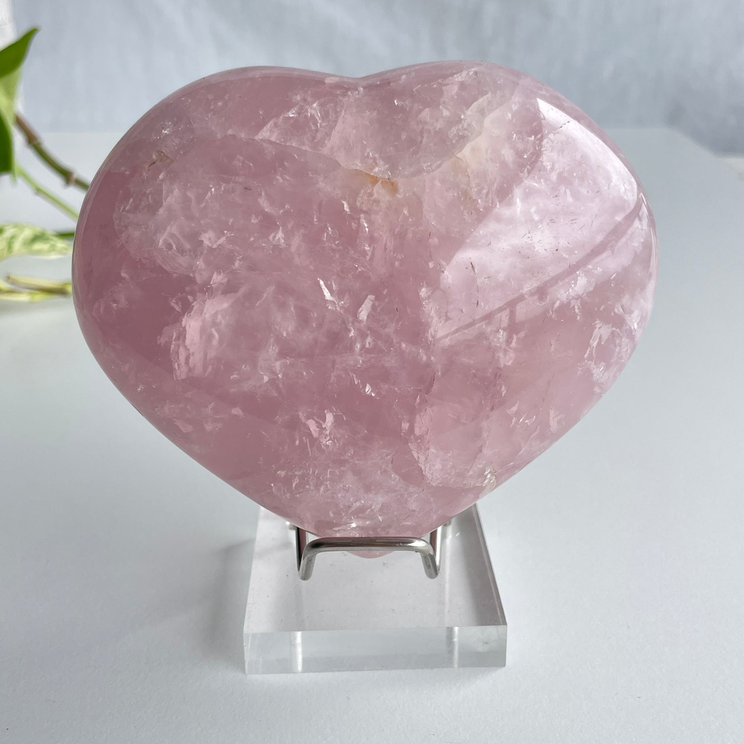 Rose Quartz Heart 668g
