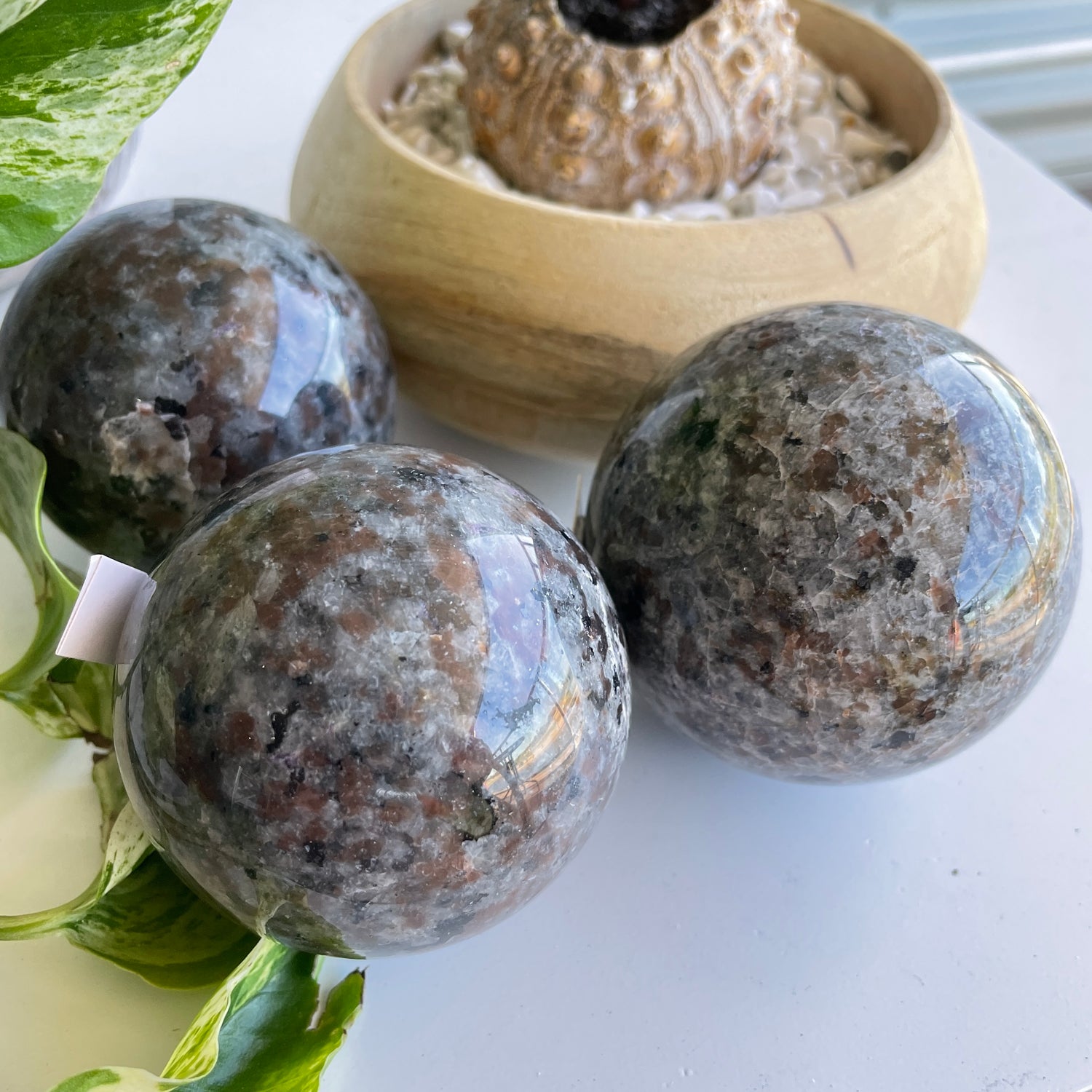 Yooperlite Sphere Med Assorted