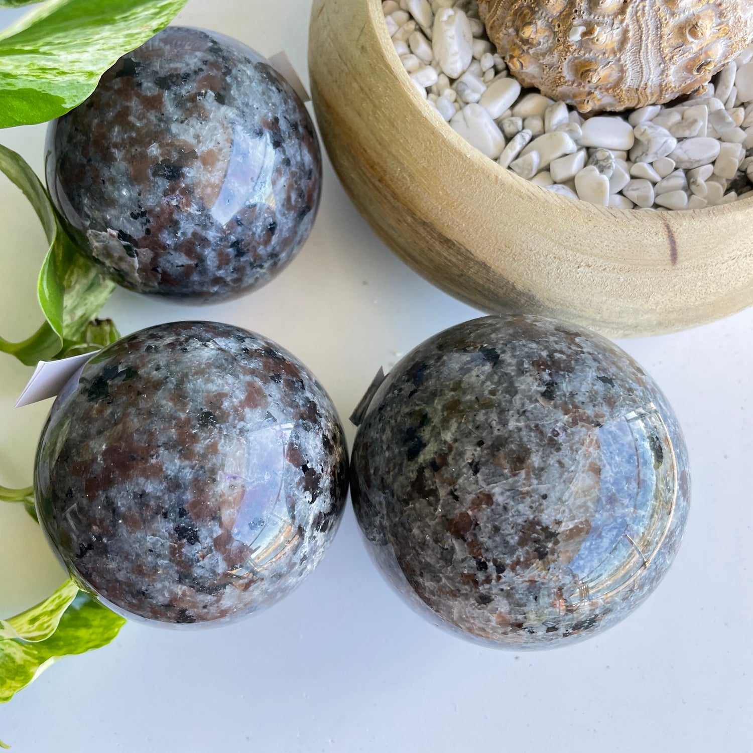Yooperlite Sphere Med Assorted
