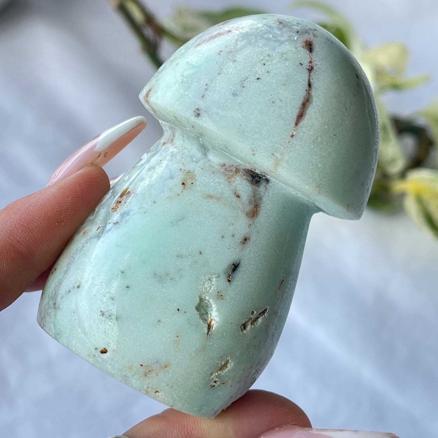 Chrysoprase Mushroom 03