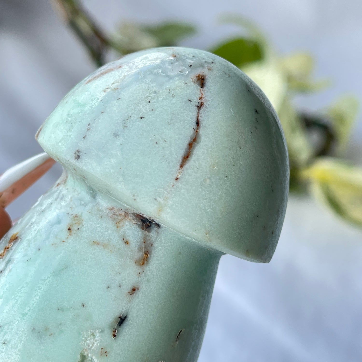 Chrysoprase Mushroom 03