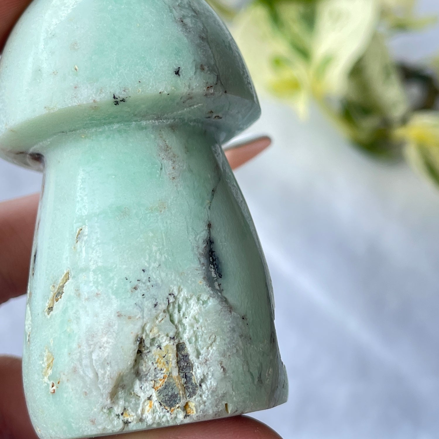 Chrysoprase Mushroom 03