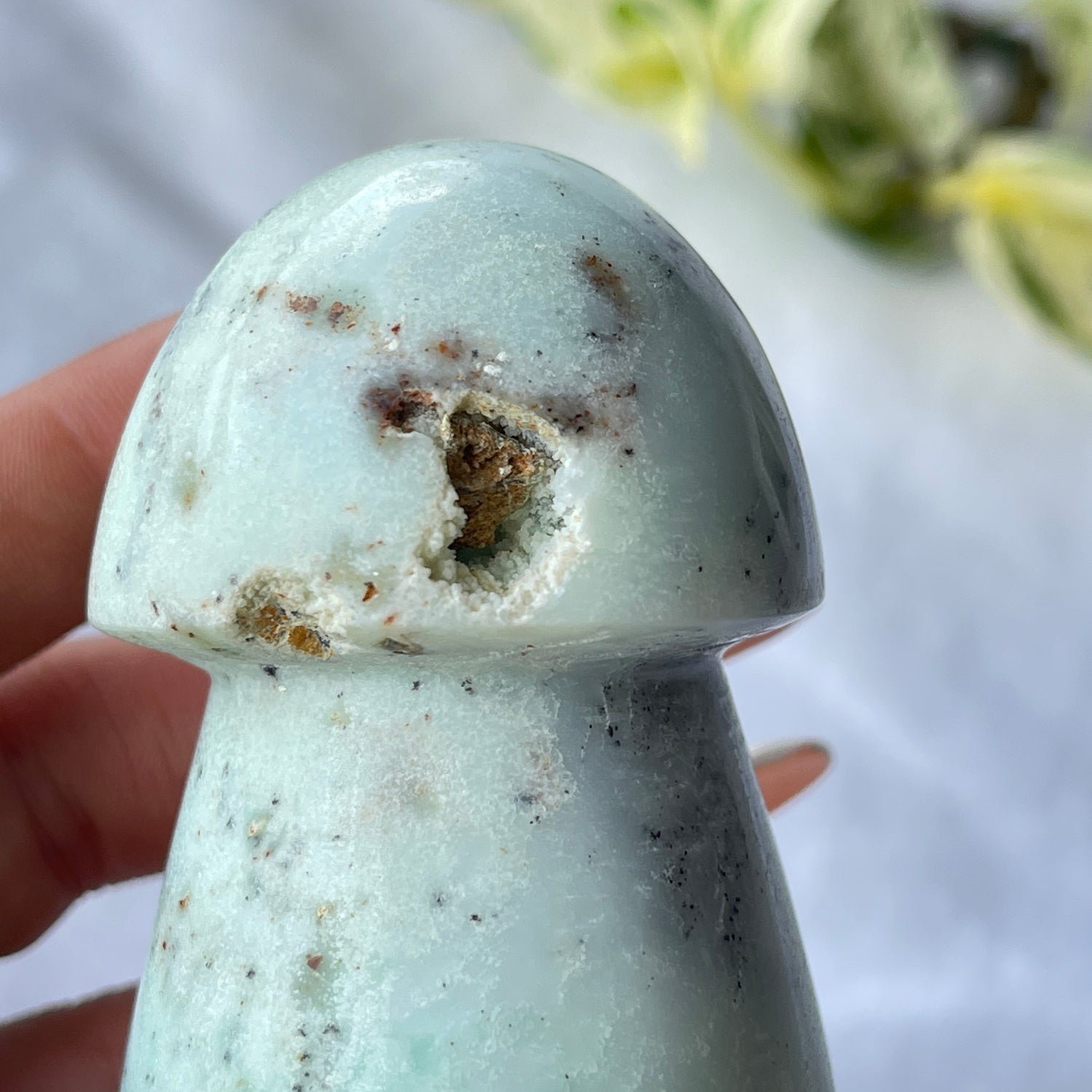 Chrysoprase Mushroom 05