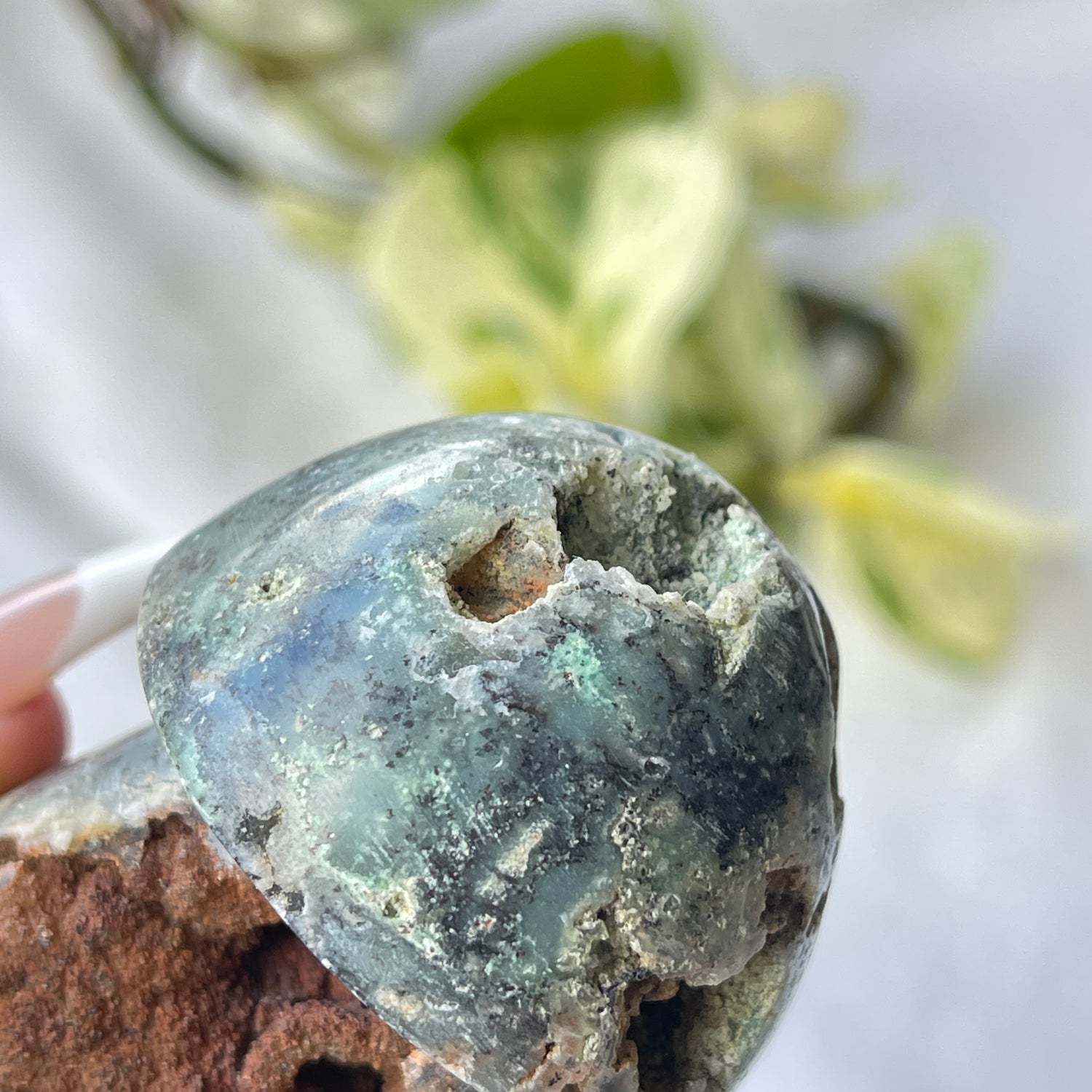 Chrysoprase Mushroom 07