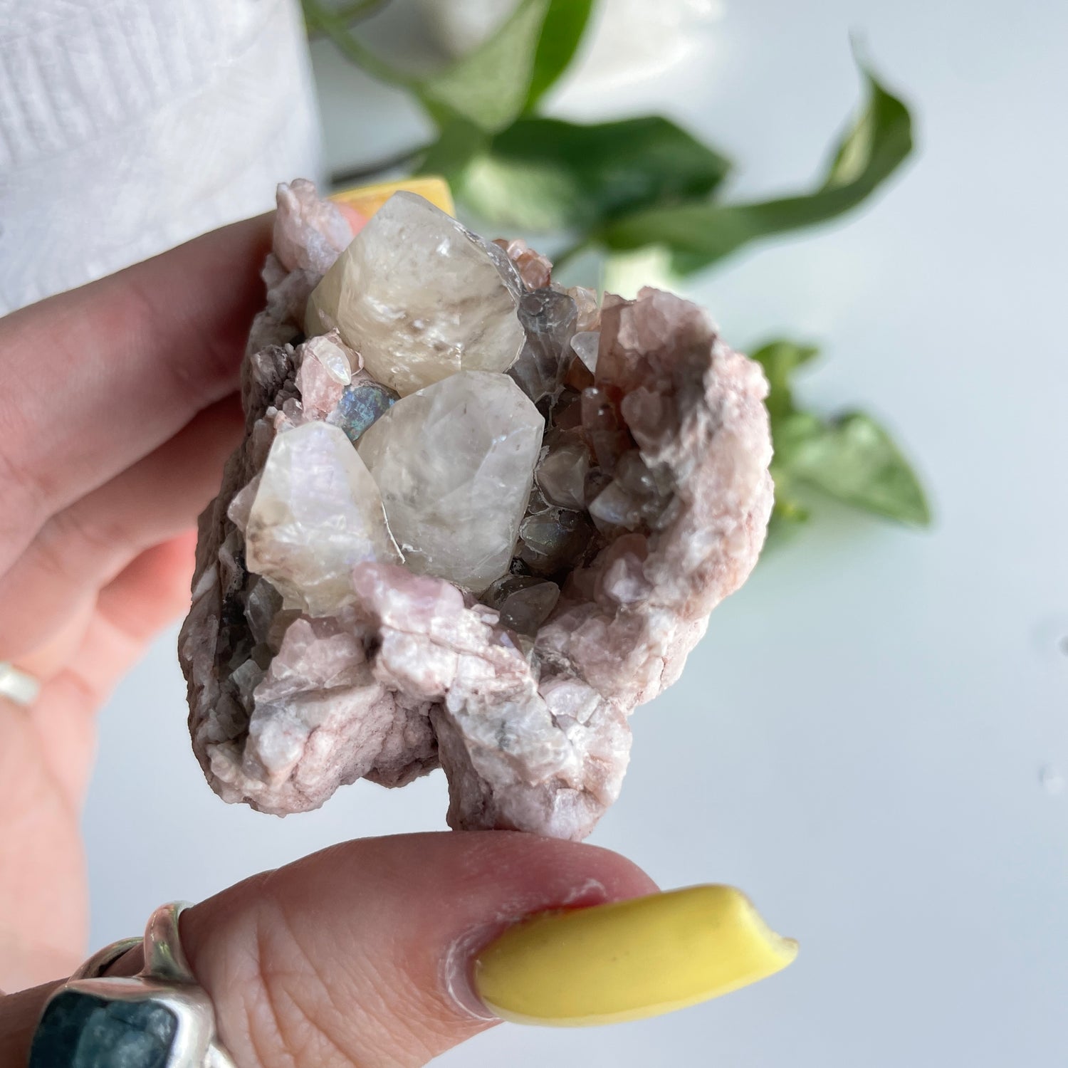 Pink Amethyst Cluster 23