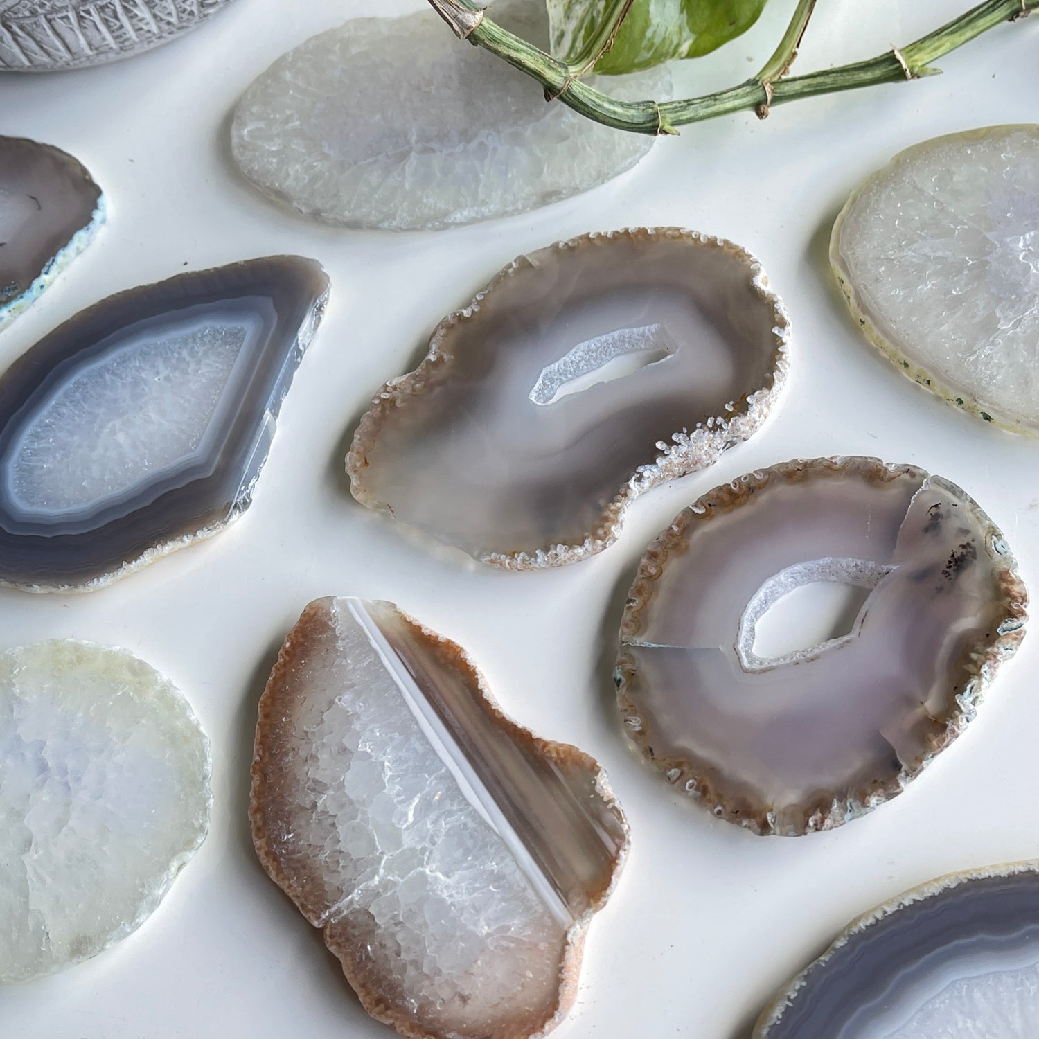 Agate Slices