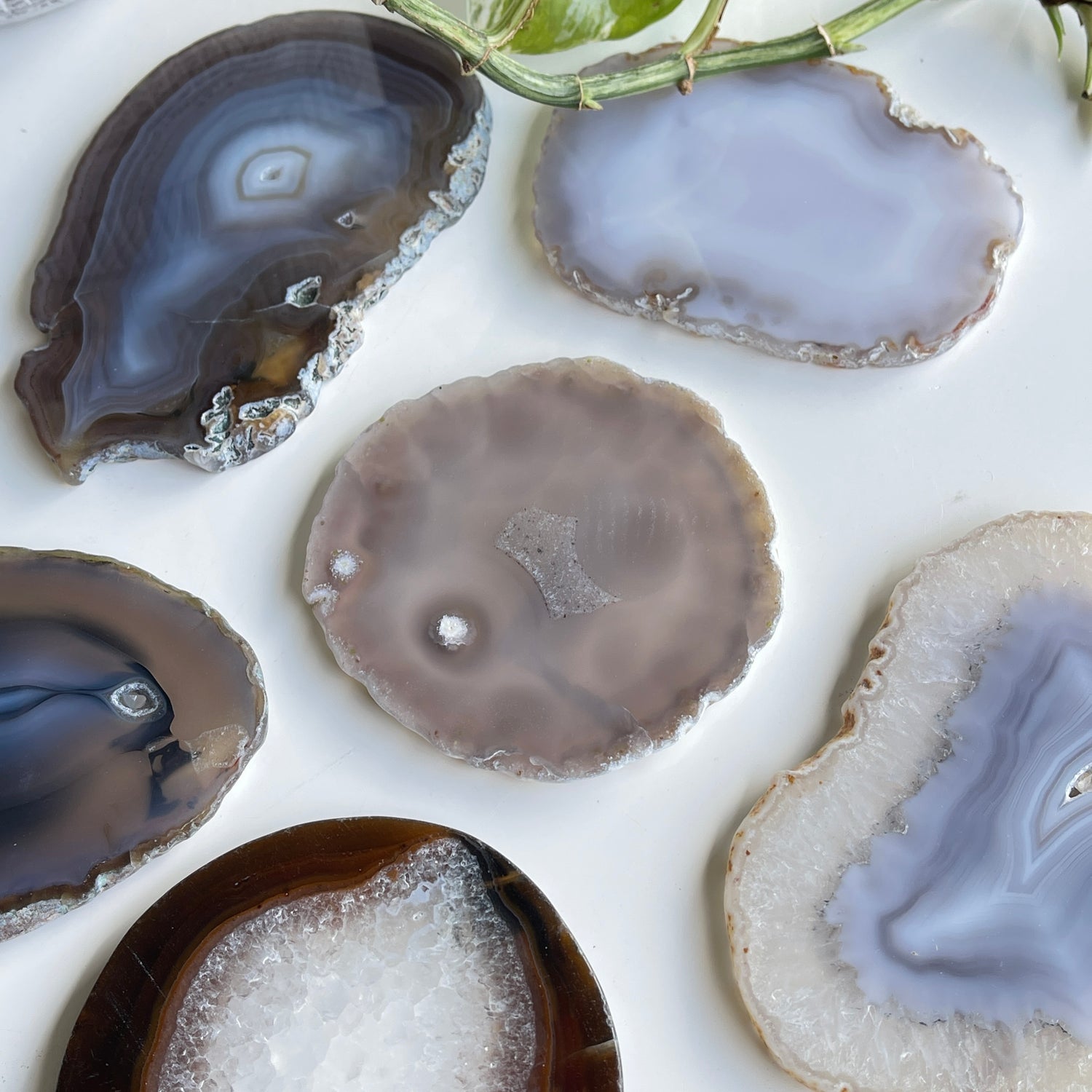 Agate Slices
