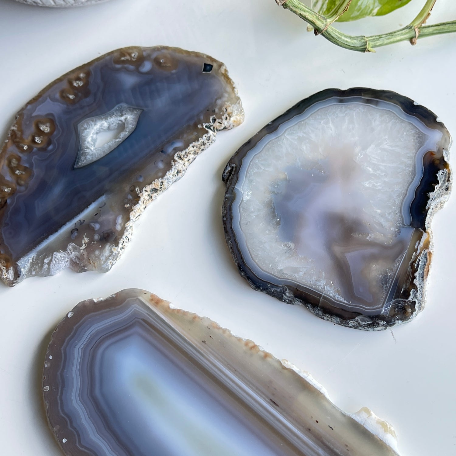 Agate Slices