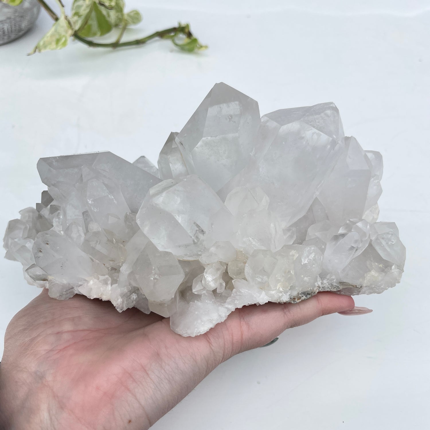 Clear Quartz Cluster 12cm