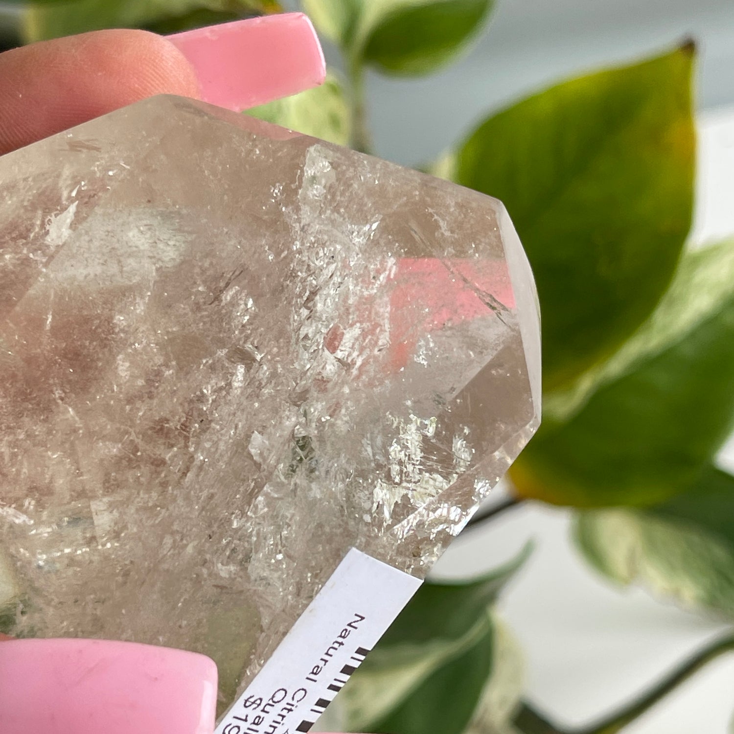 Natural Citrine Freeform High Quality 282g