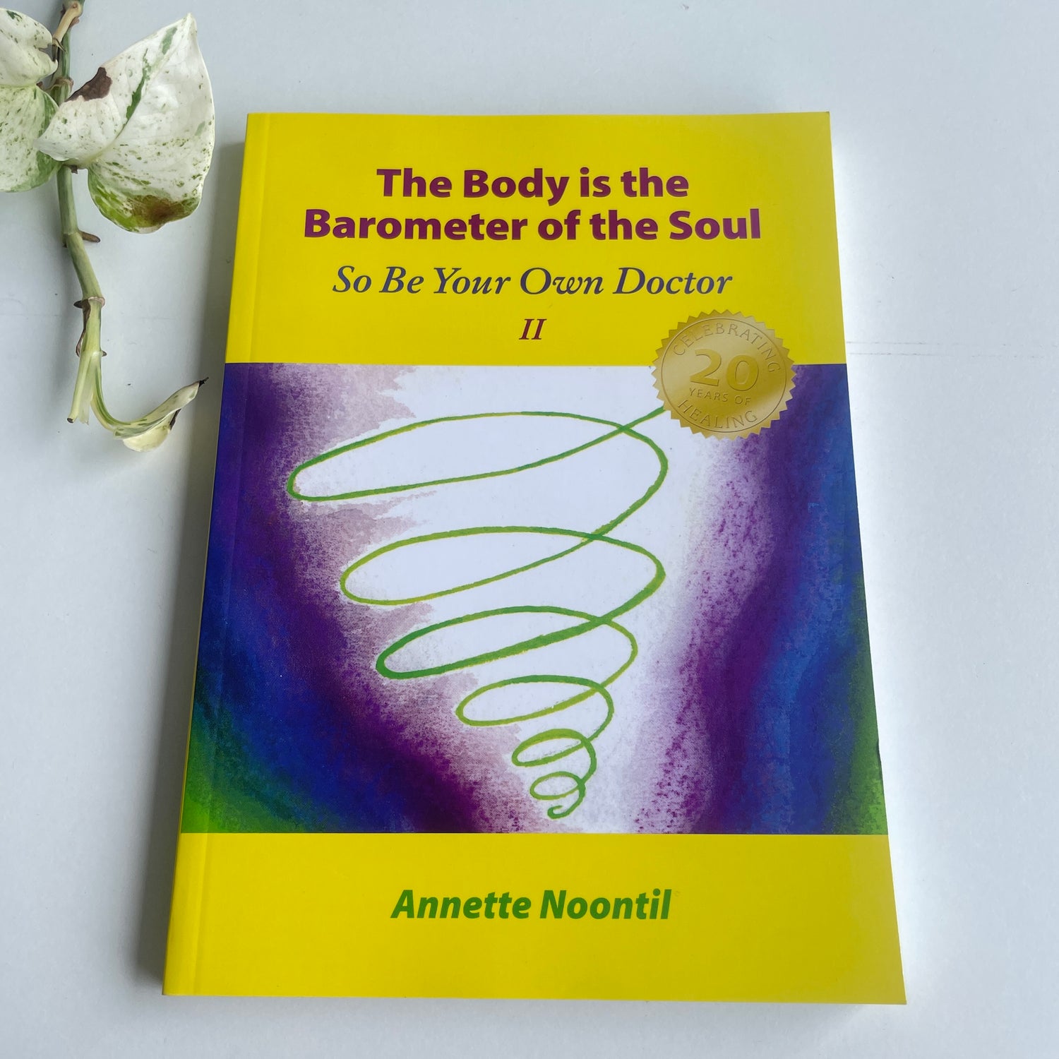 The Body is the Barometer of the Soul Annette Noontil