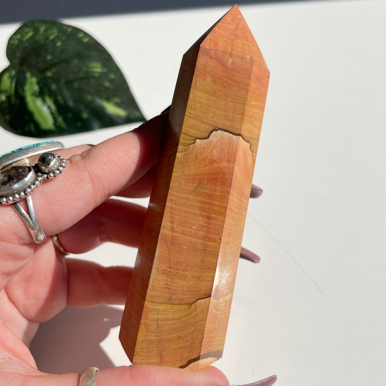 Picture Jasper Generator 11.2cm