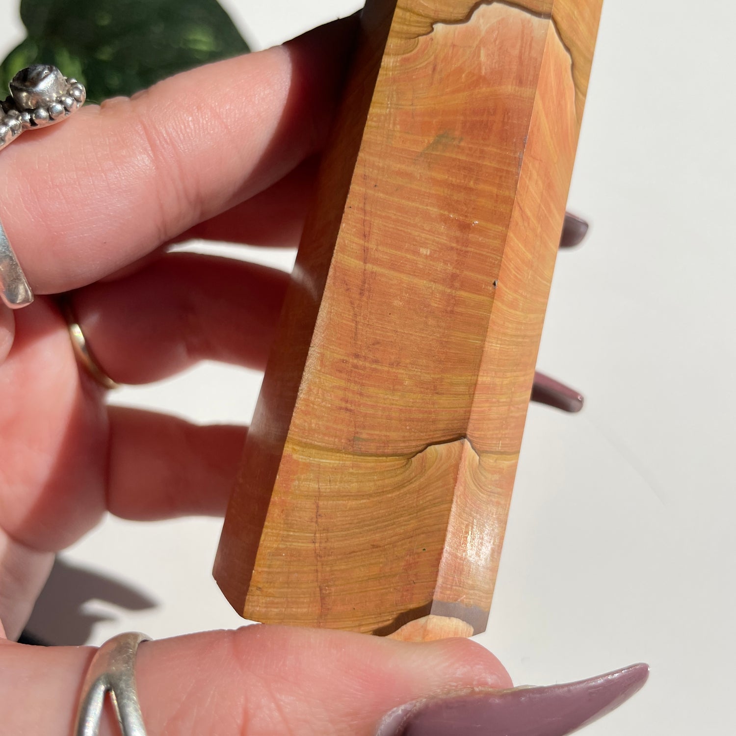 Picture Jasper Generator 11.2cm
