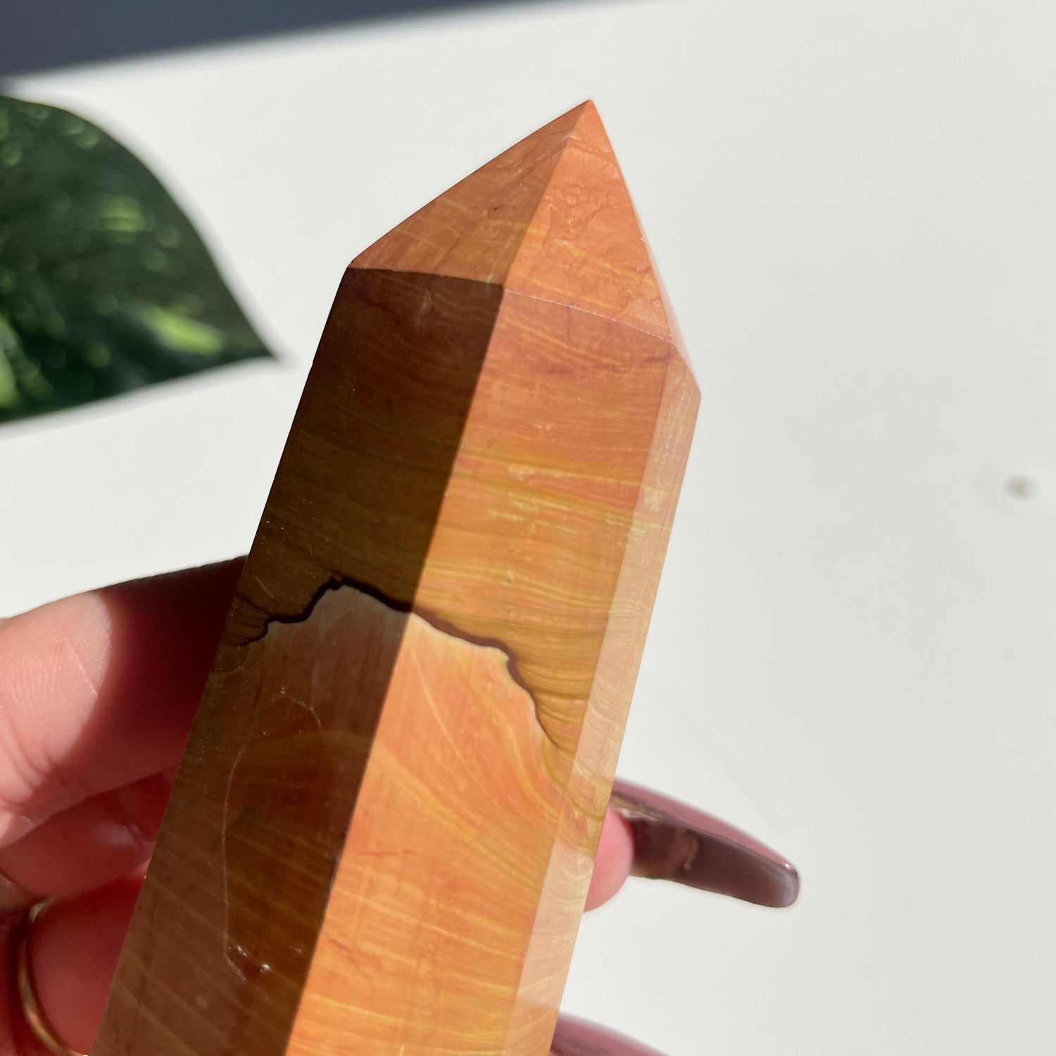 Picture Jasper Generator 11.2cm