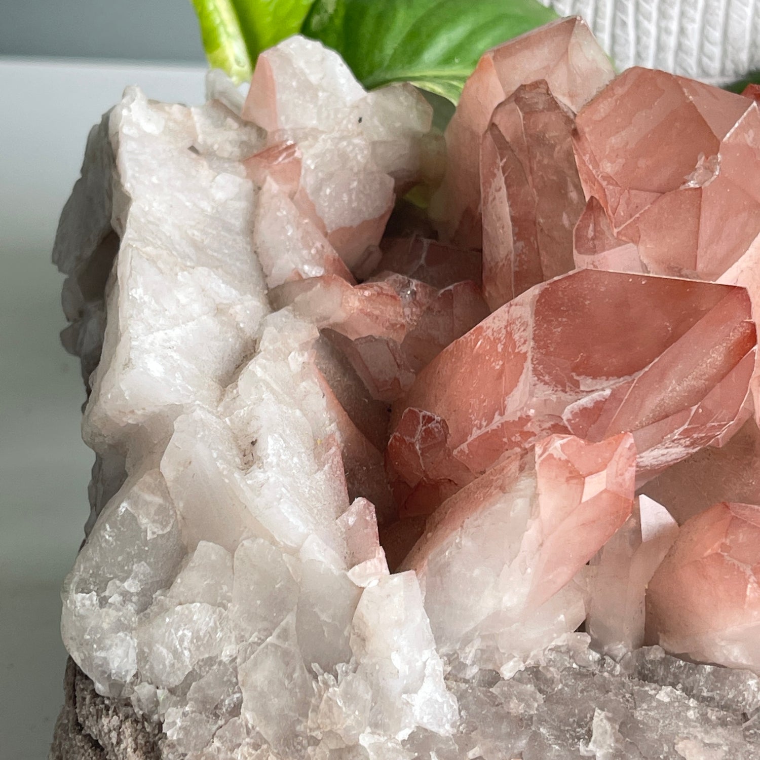 Rare Scarlet Temple Pink Lemurian Quartz Cluster 4.706kg