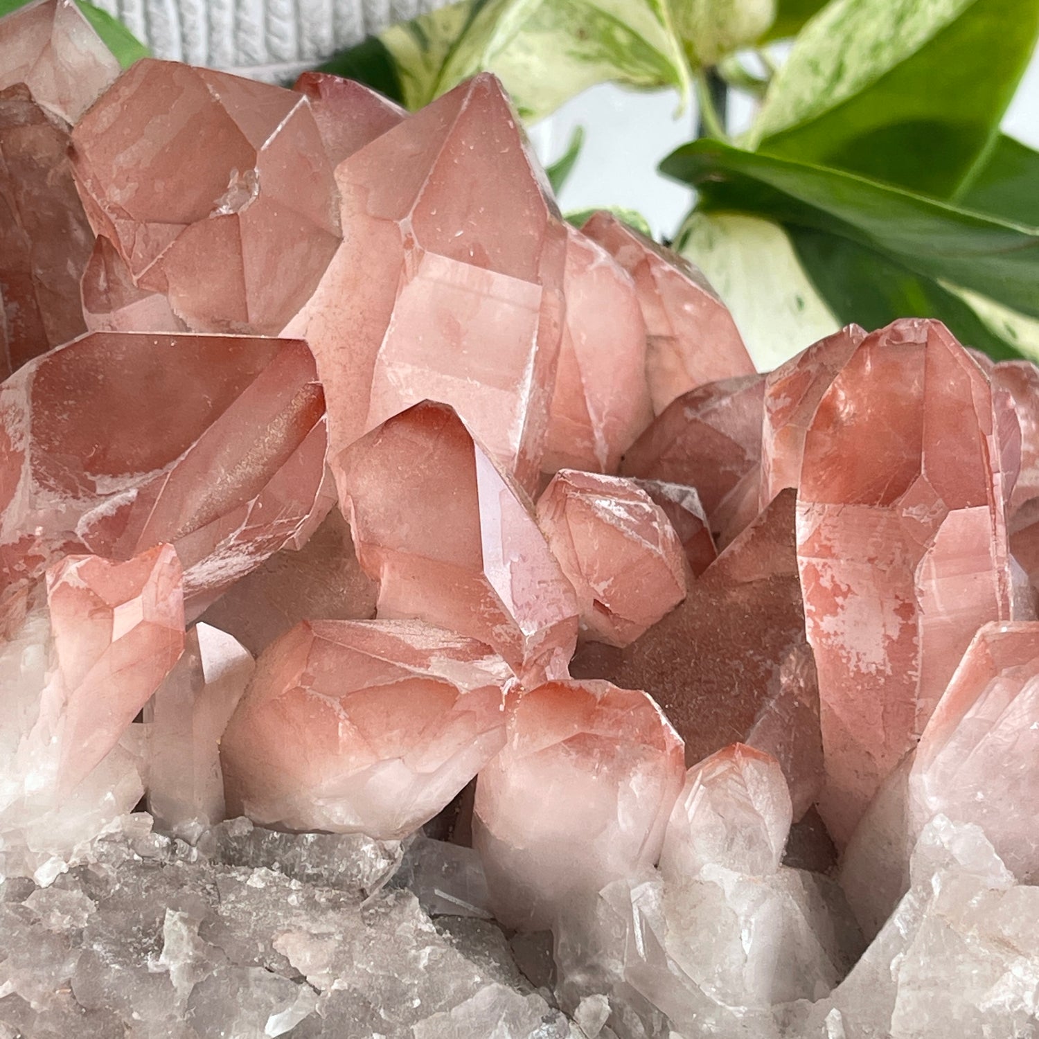 Rare Scarlet Temple Pink Lemurian Quartz Cluster 4.706kg