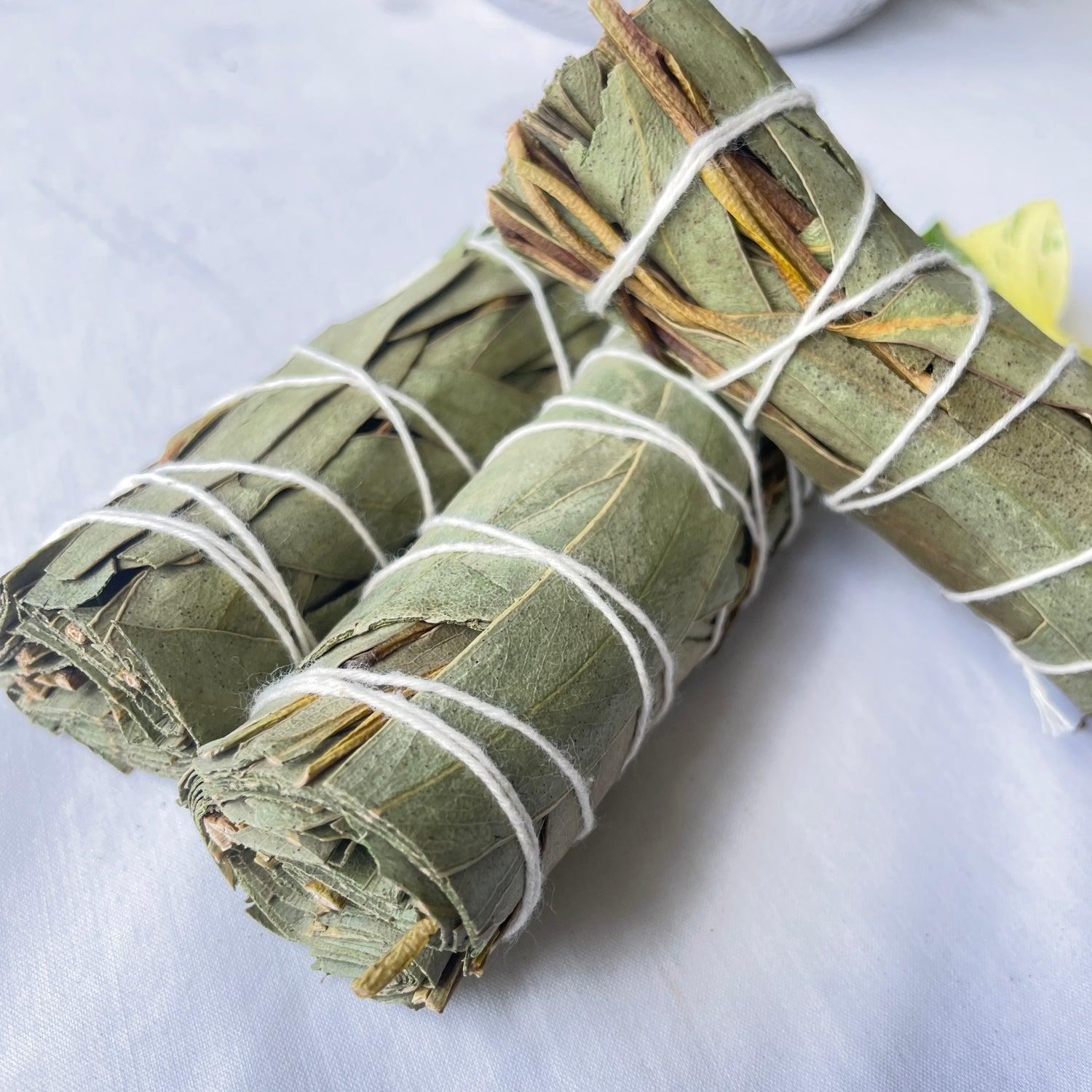 Eucalyptus Cleansing Stick