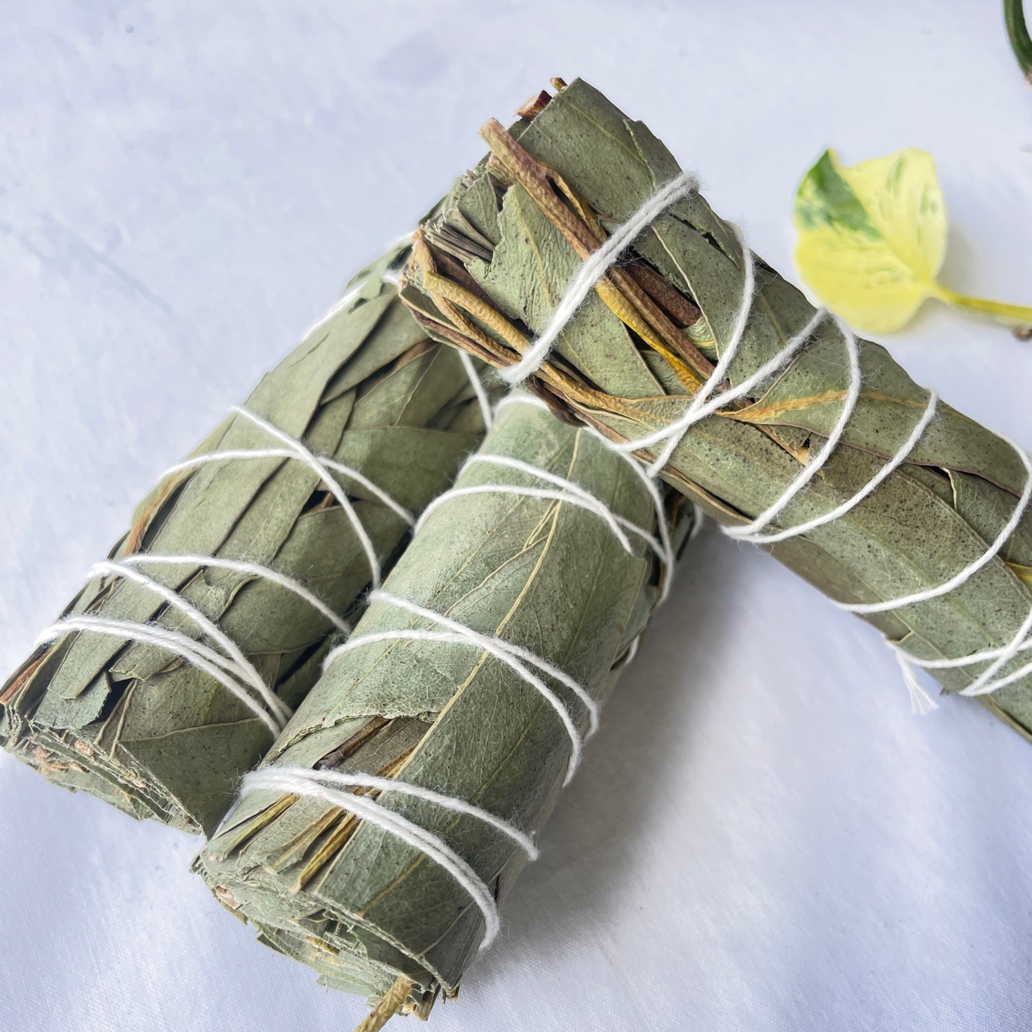 Eucalyptus Cleansing Stick